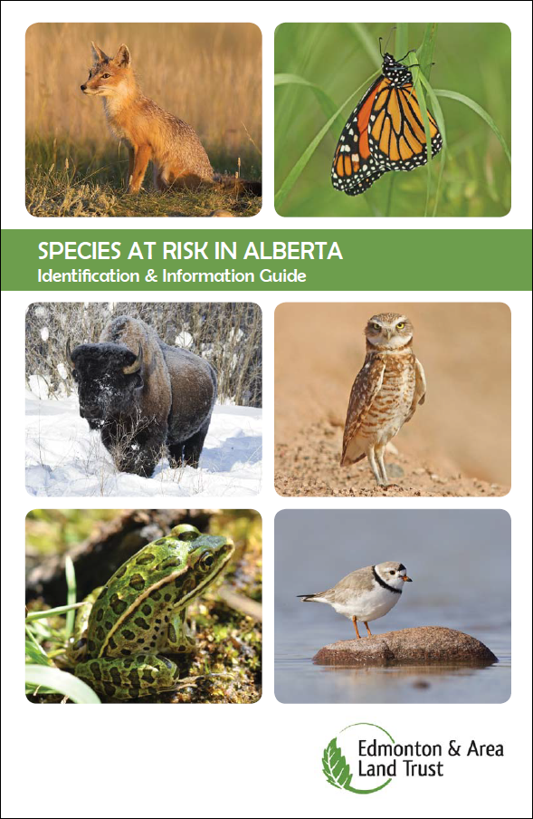 EALT’s Species at Risk Guide
