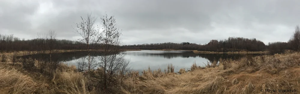 Glory Hills, as tranquil as a dream.