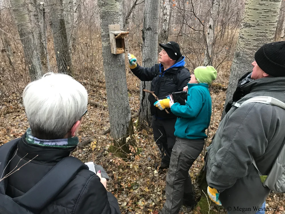 Meghan Jacklin, Stewardship Coordinator at EALT, works with volunteers to assess if any creatures have been living in the nest boxes, which have been found to be inhabited by flying squirrels rather than birds this time of year.