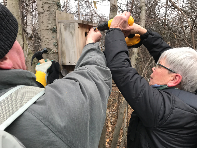 Volunteers cleaned nest boxes at Glory Hills