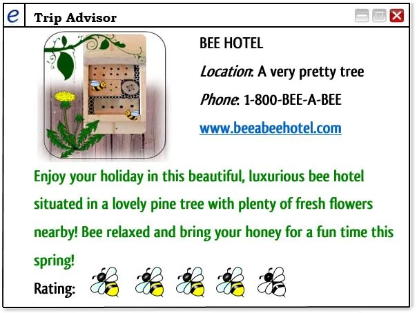 Bee Hotel Trip Advisor.jpg