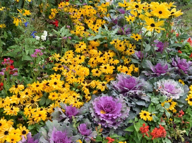 The tours also include a walk around the Lady Flower Gardens. (EALT/Supplied)