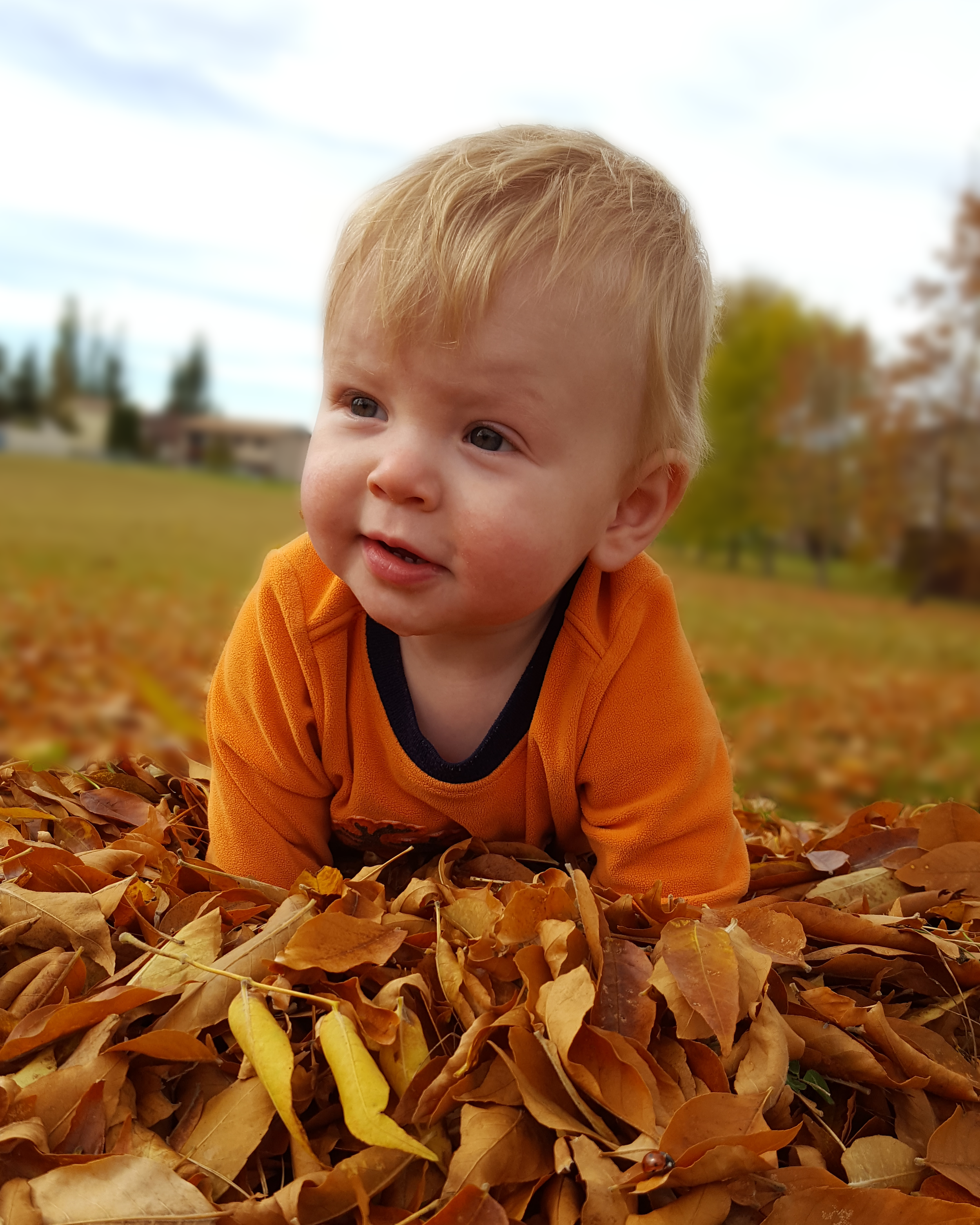 Be Leaves 8x10.png