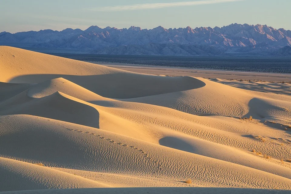Cadiz Dunes Wilderness in California. Photo by Bob Wick, BLM, CC BY 2.0