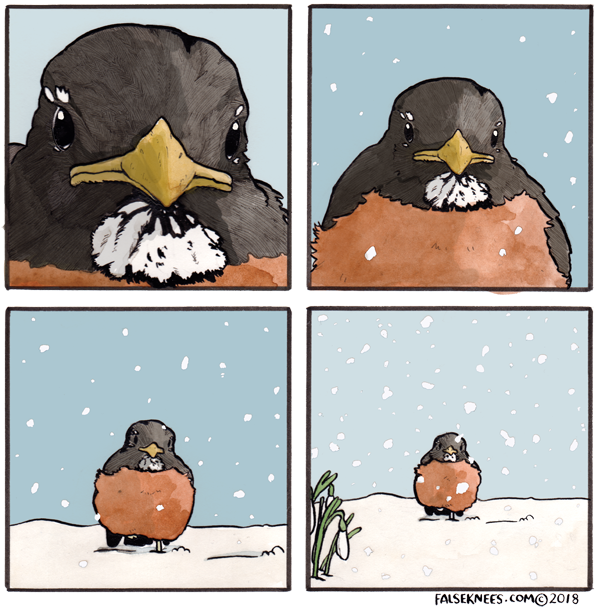 This early Robin is wondering why he hurried back! Image from False Knees at https://falseknees.com/312.html