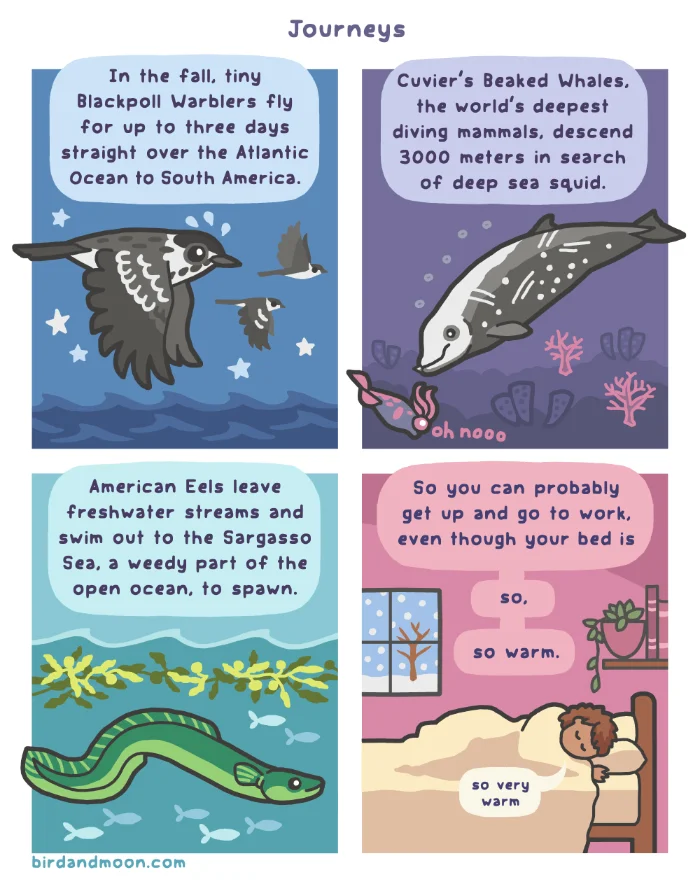 Image from Bird and Moon Science and Nature Cartoons at http://www.birdandmoon.com/