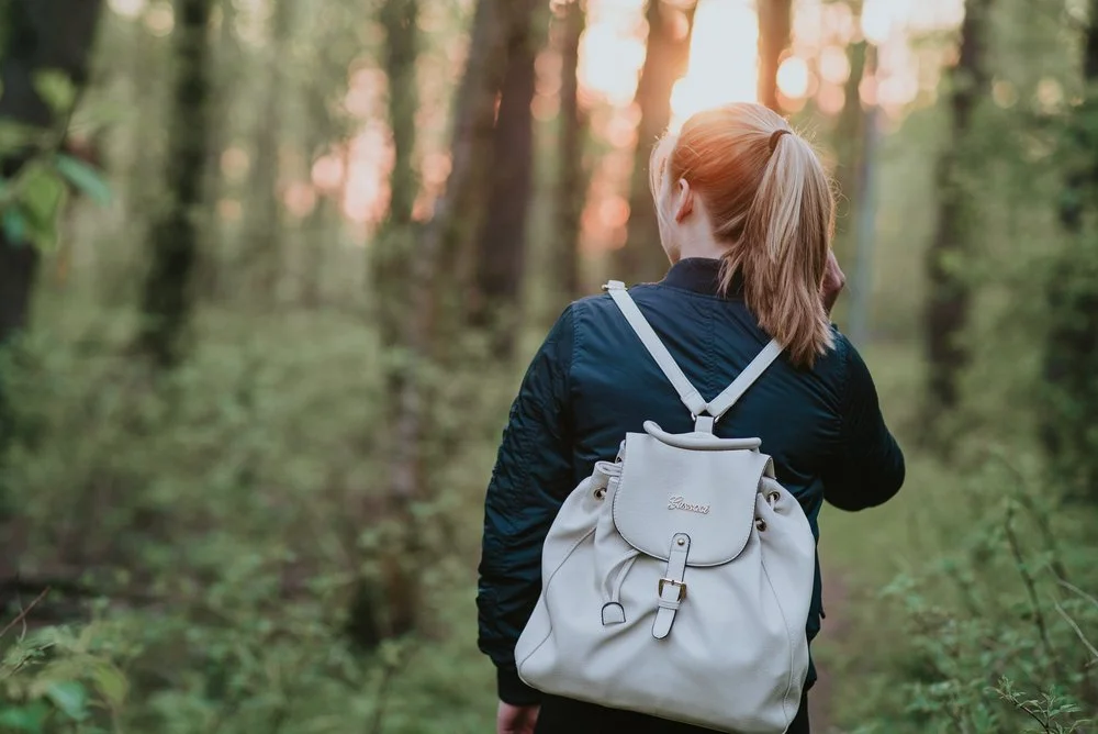 walking+in+woods.jpg