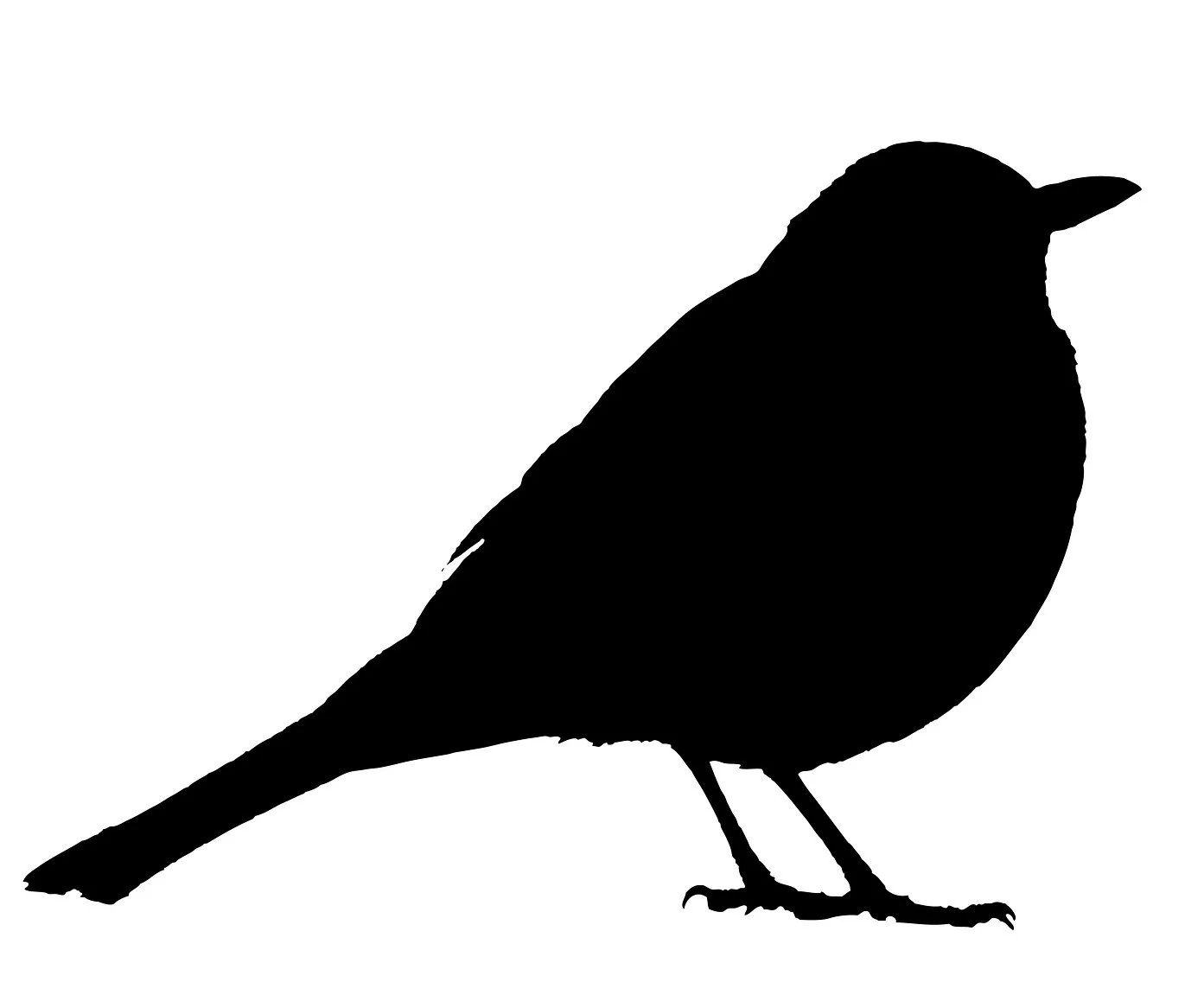 blackbird-2774513_1920.jpg