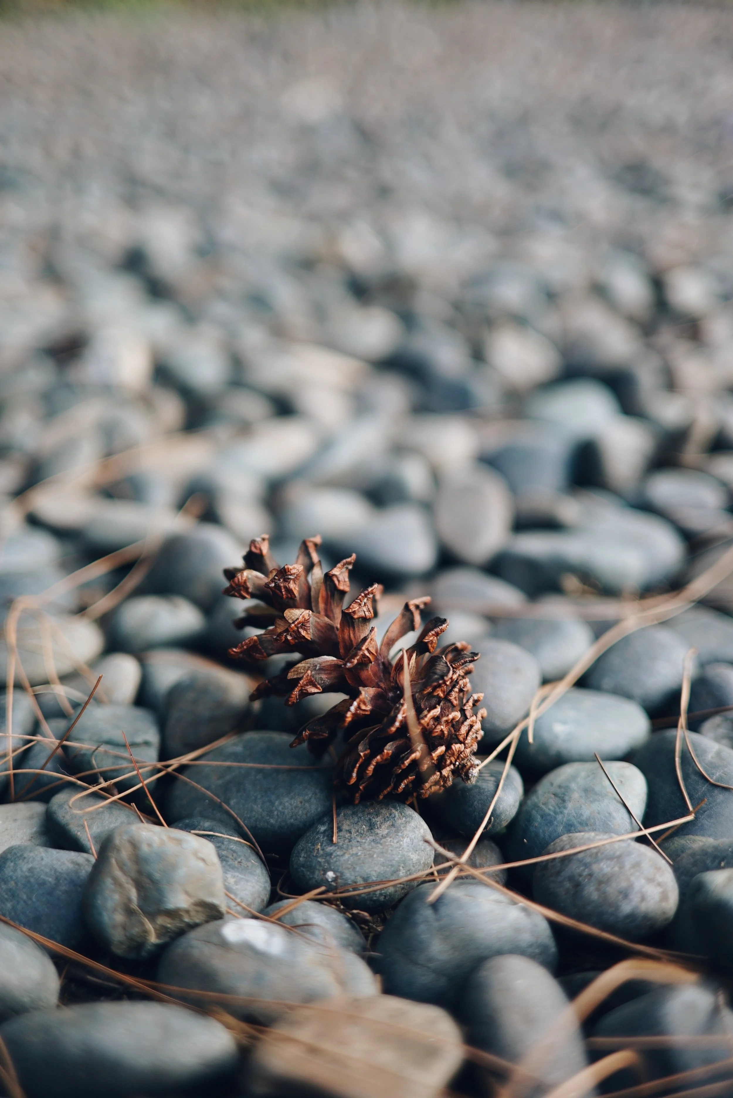 harry-tharsiman-pebbles cone-unsplash.jpg