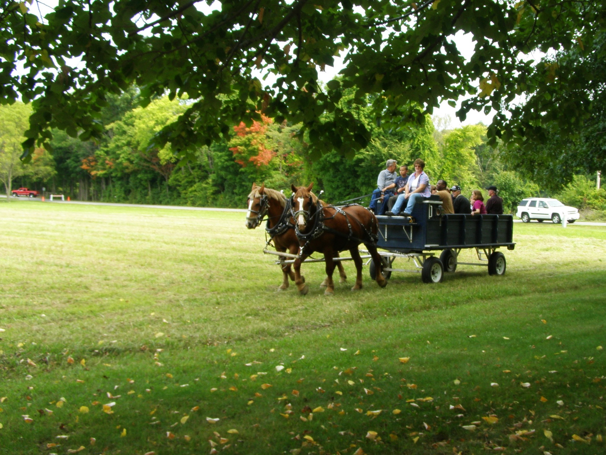 Wagon_Rides_P9190052.jpg