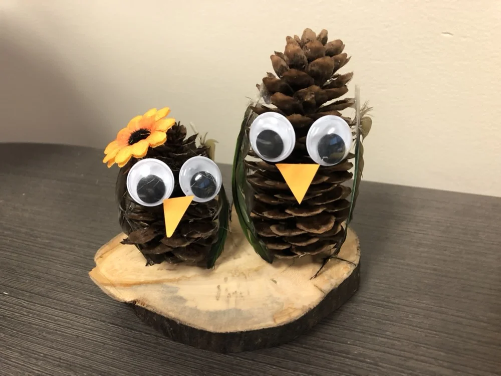 Pine Cone Bird