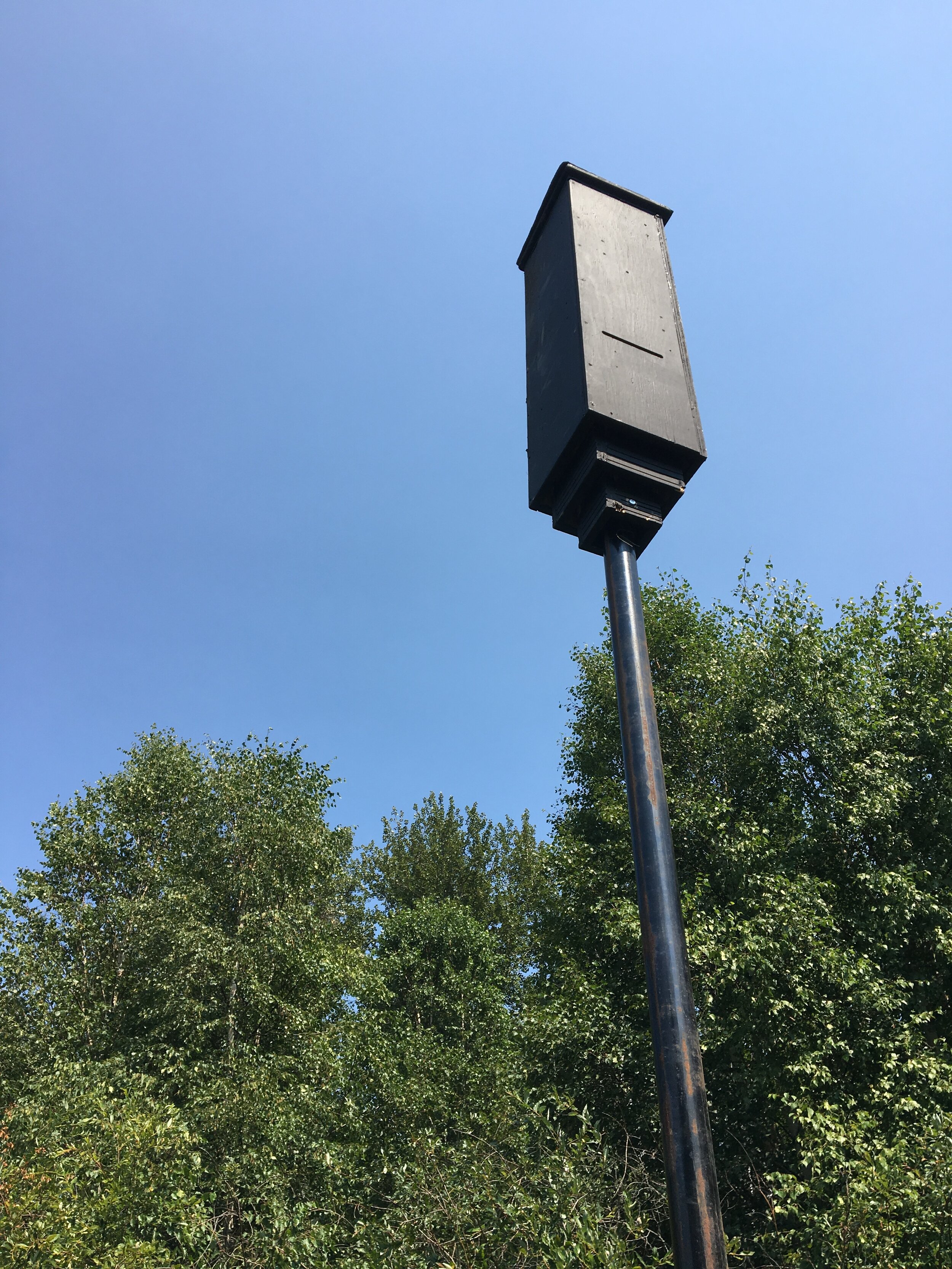 Going Batty at Larch Sanctuary — Edmonton & Area Land Trust