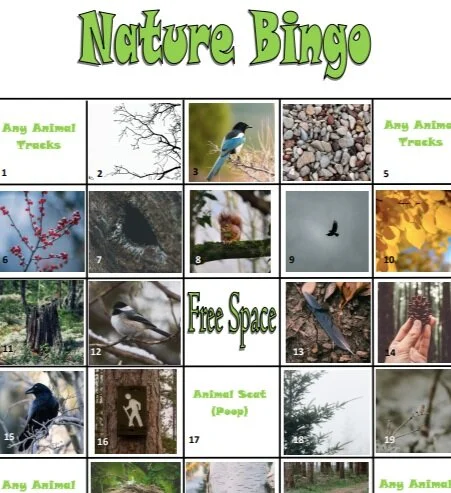 Nature Bingo