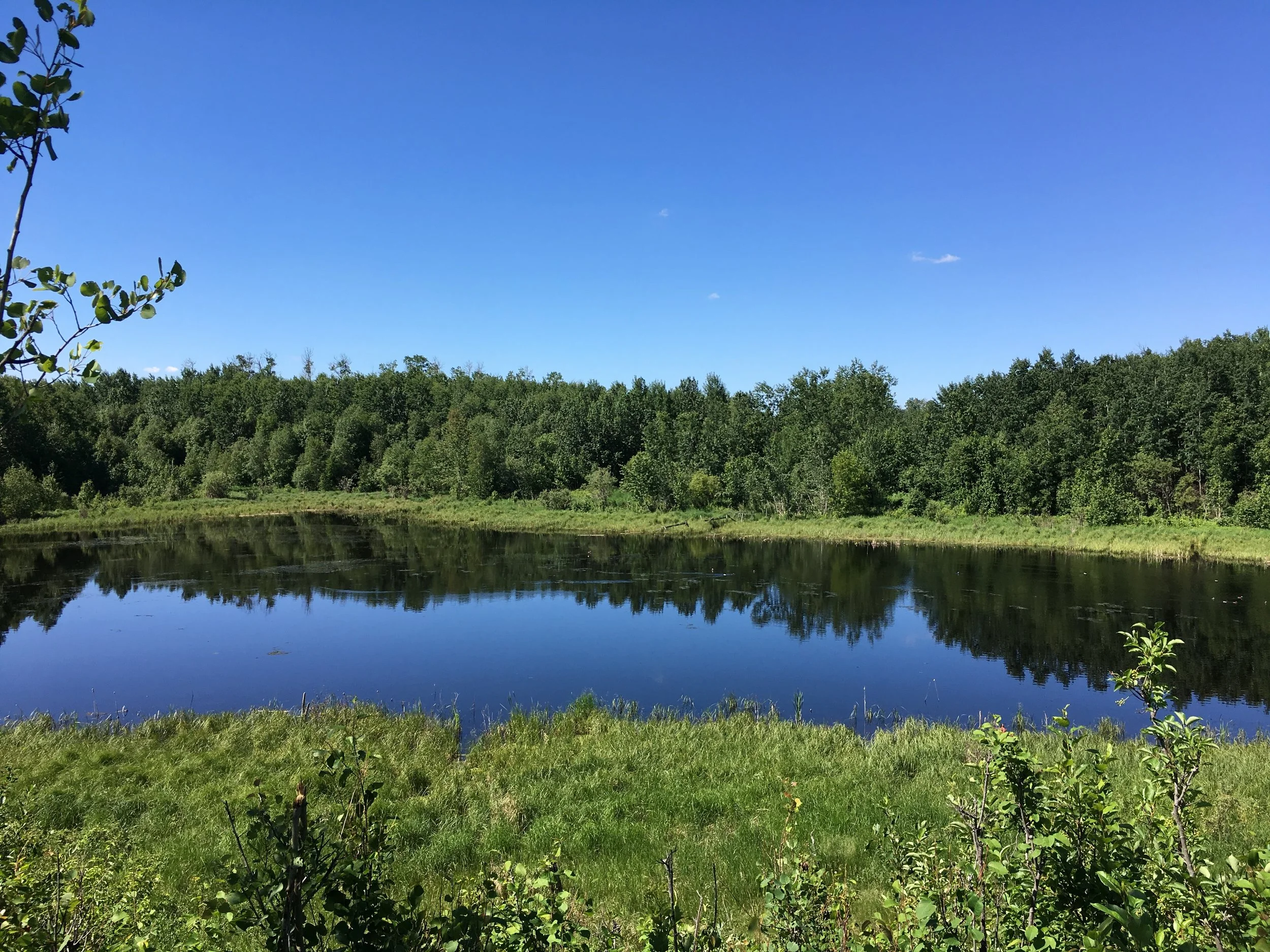 amiskwaciywâskahikan (Edmonton) History — Edmonton & Area Land Trust