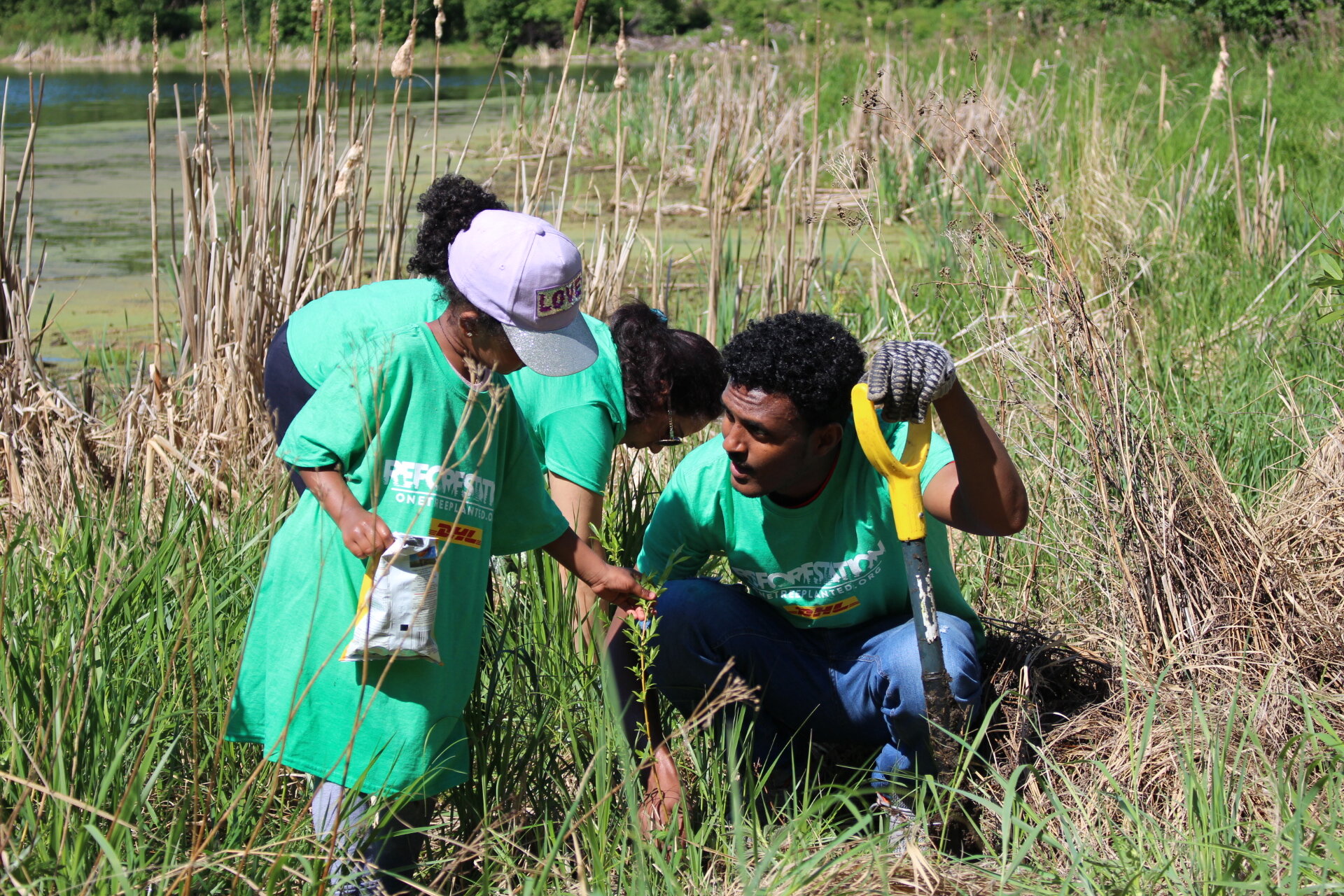 DHL - Tree Planting