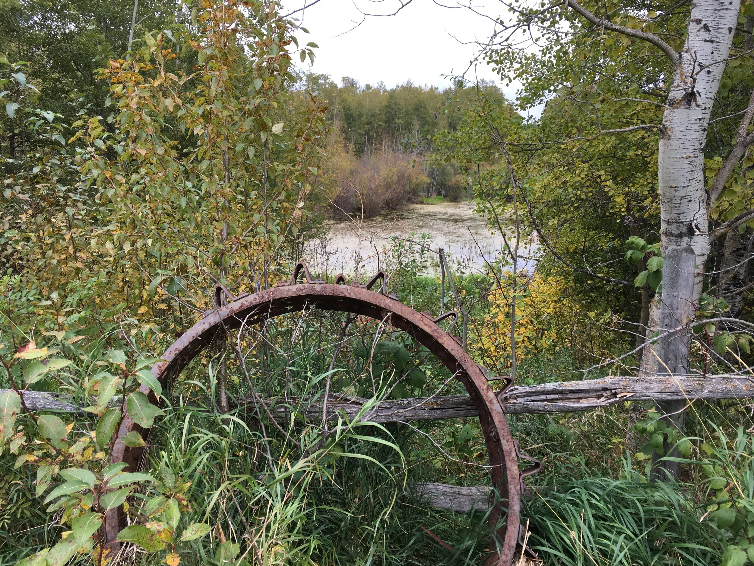 Virtual Grand Opening of Smith Blackburn Homestead
