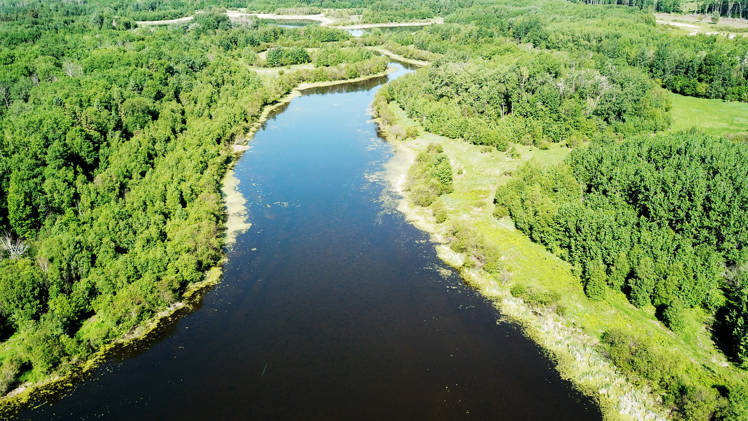 Regional Conservation Plan