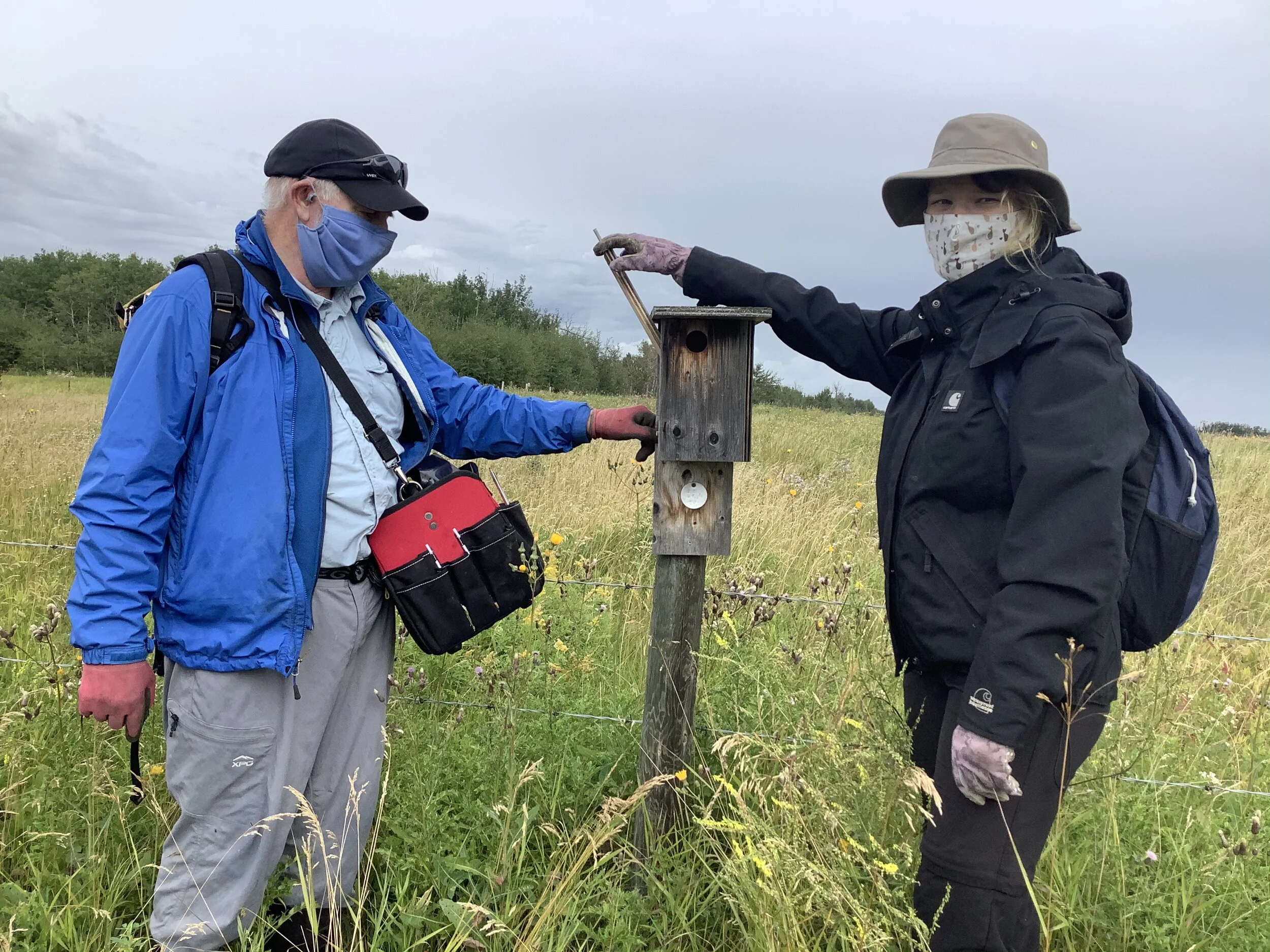 Golden Ranches Nest Box Cleaning — Edmonton & Area Land Trust