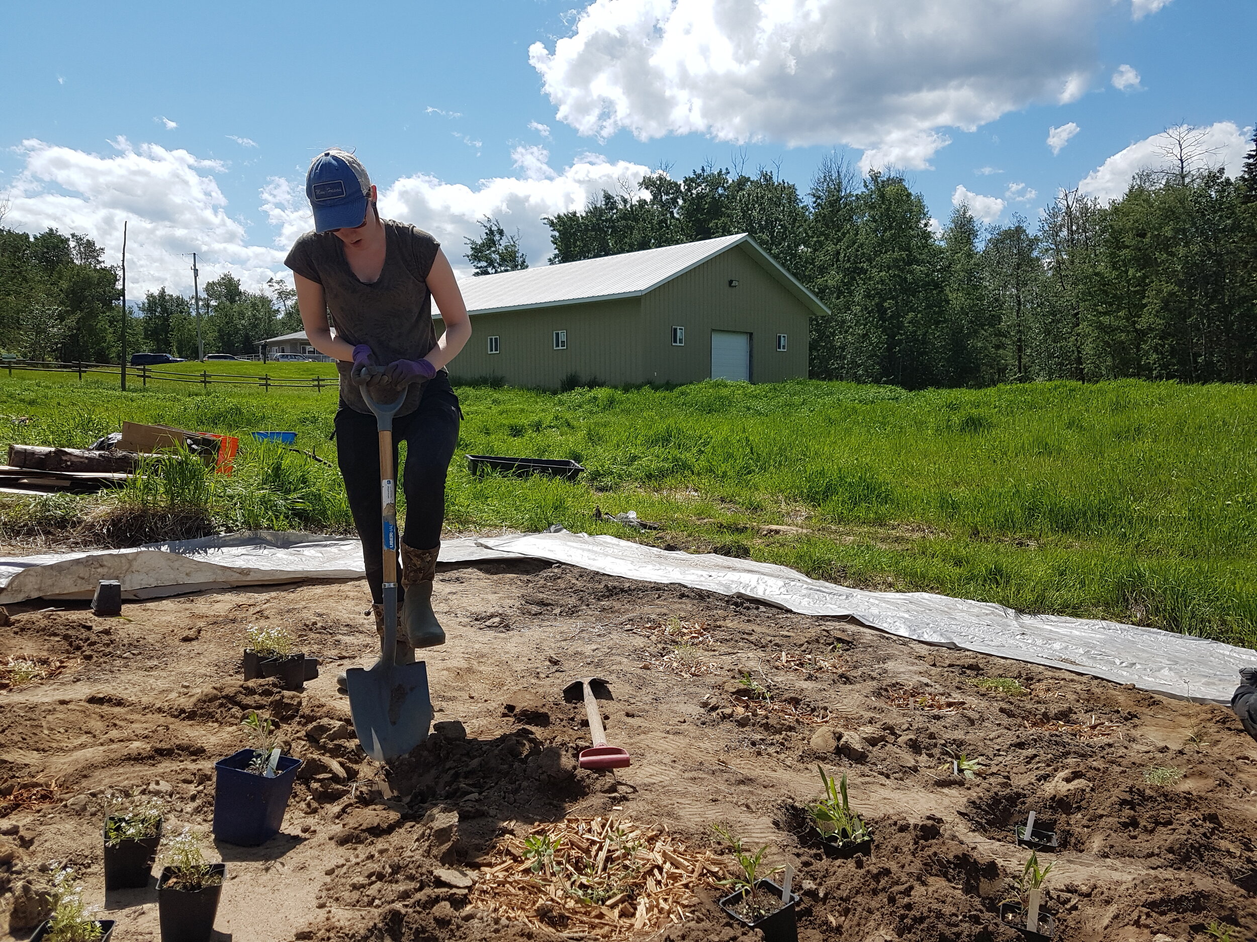 Pollinator Garden Planting_Smith_2021-06-16 (22).jpg