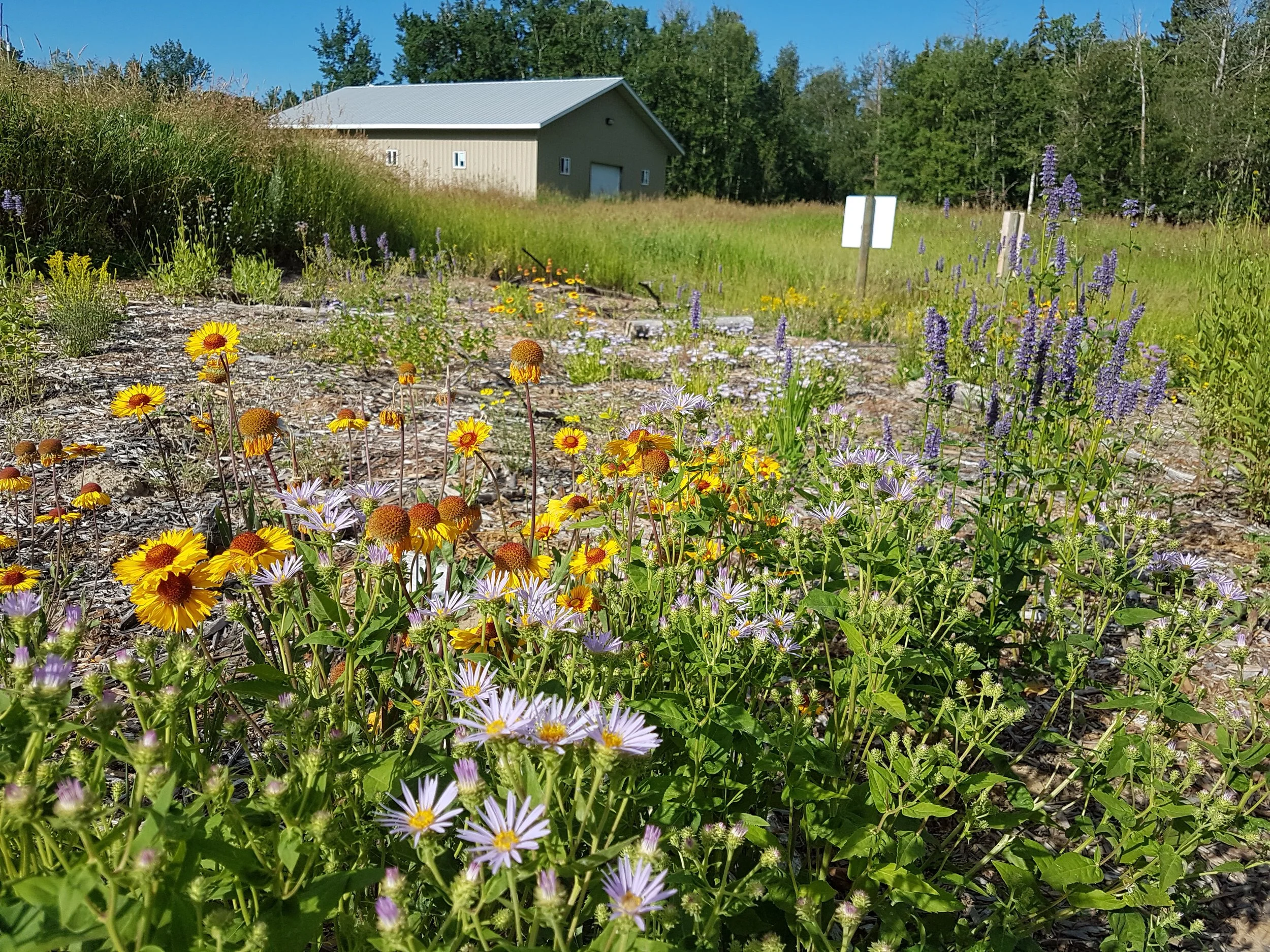 SOUL's Ecological Land Care Webinar Series