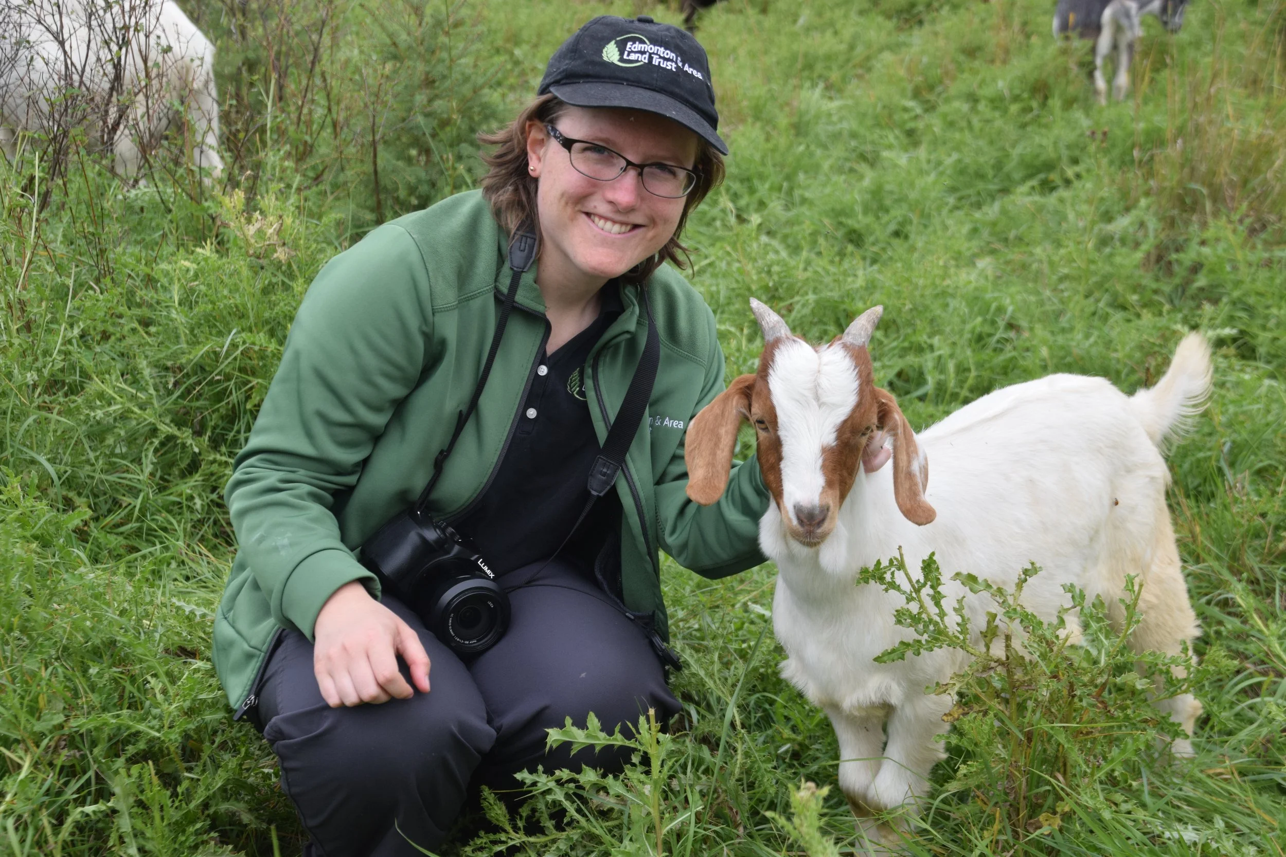 Meet the Goats at the Smith Blackburn Homestead