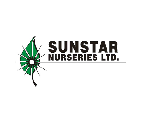 sunstar 1.png