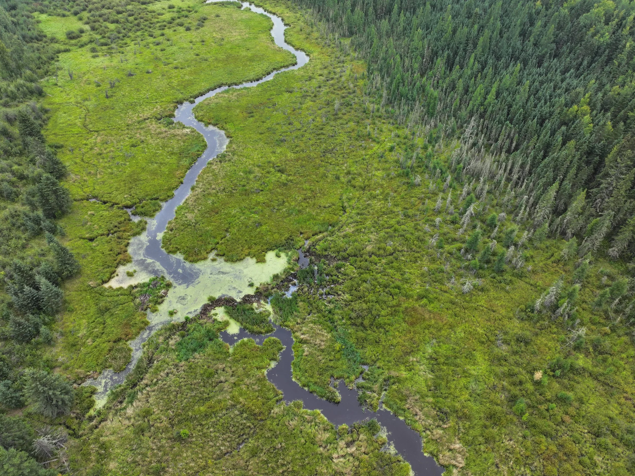Explore Carbyn Creek Wildlands