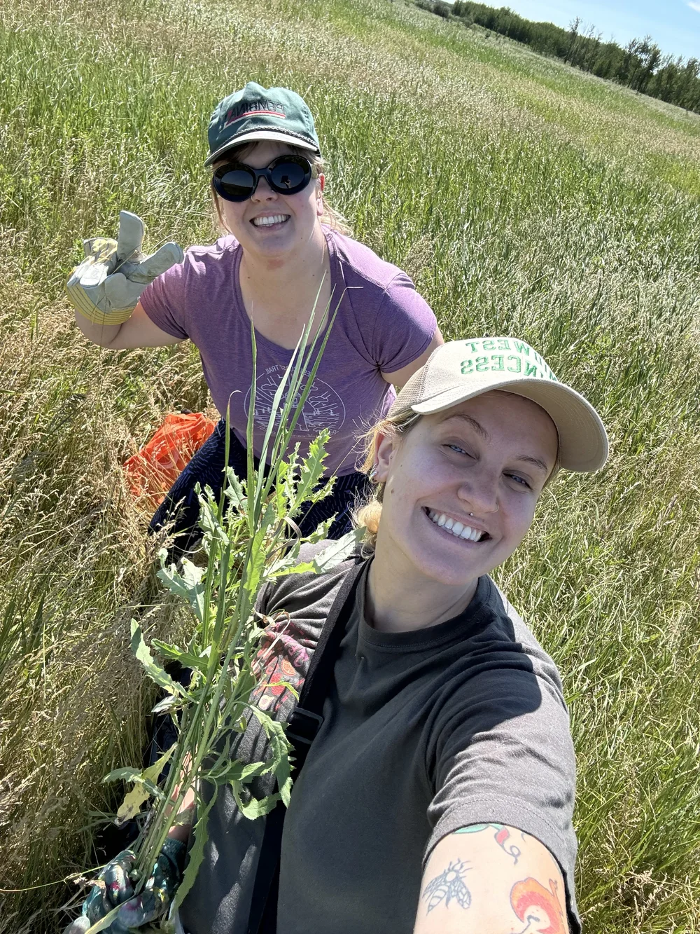 volunteers at Golden Ranches