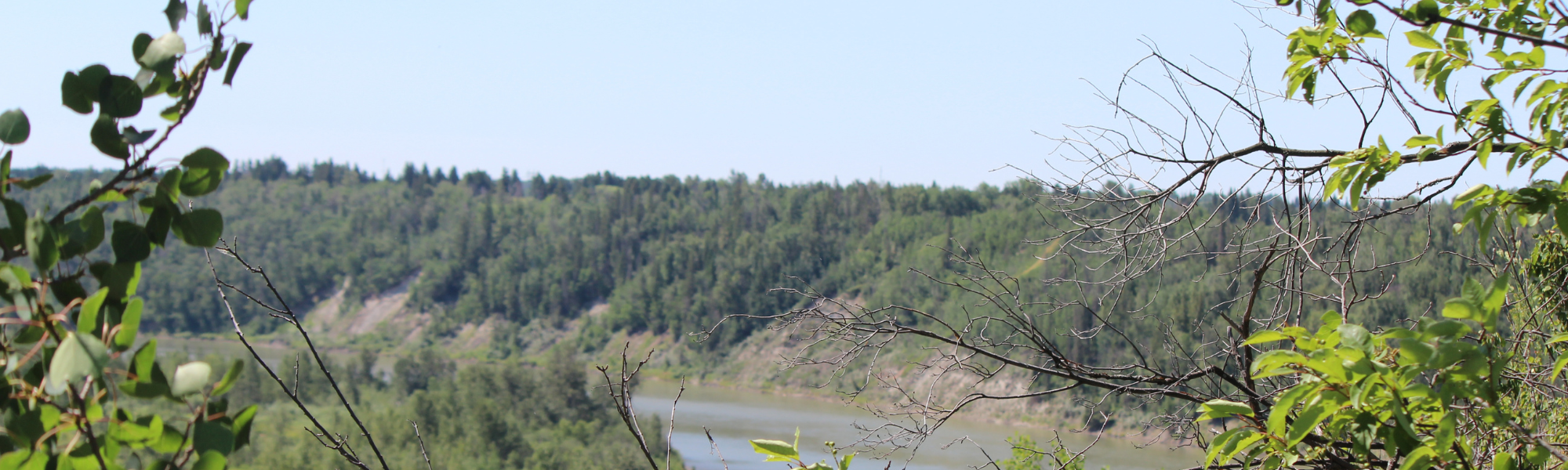 Blog Page Banner(1).png