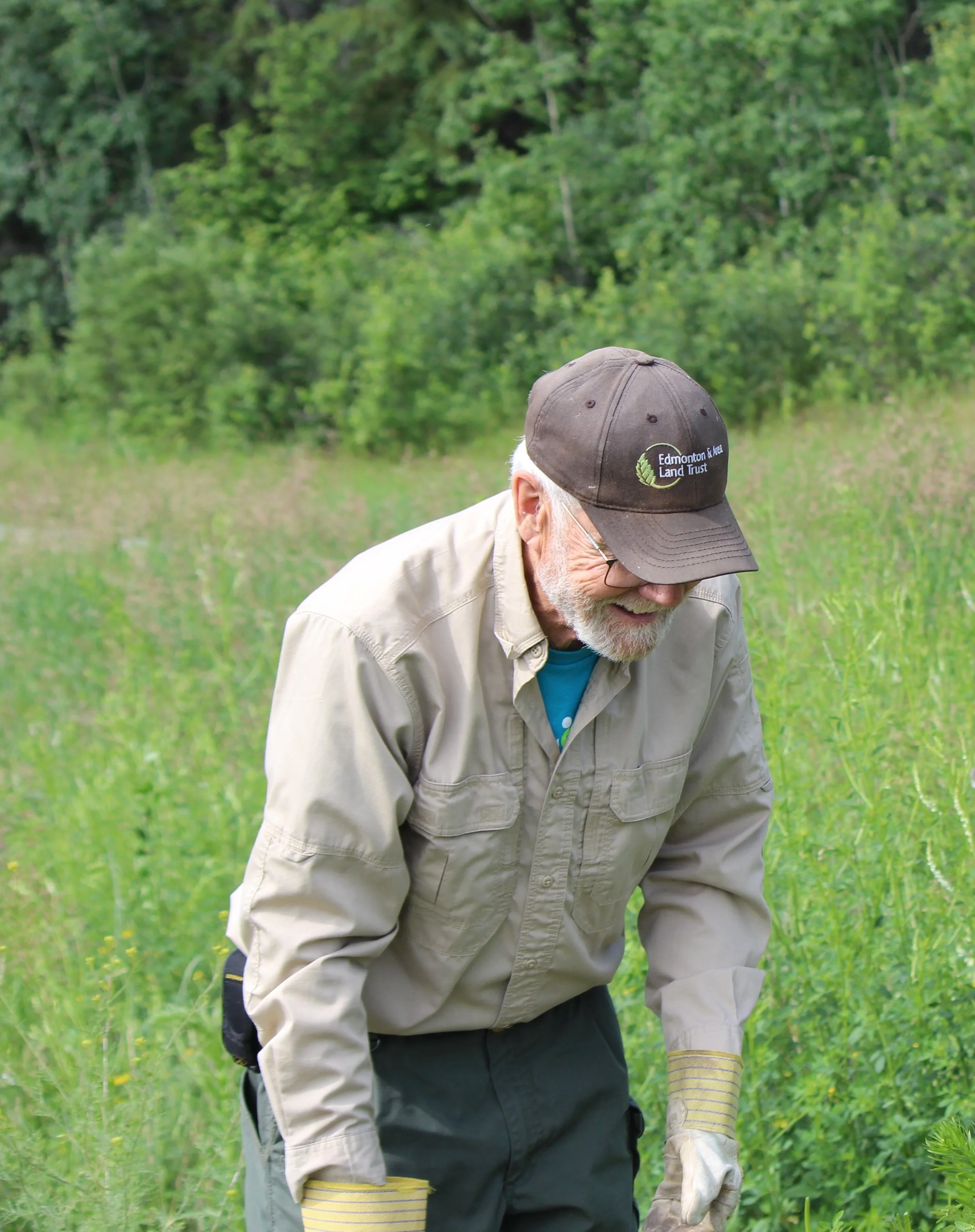 Evening Walk and Weeding at the North Saskatchewan River