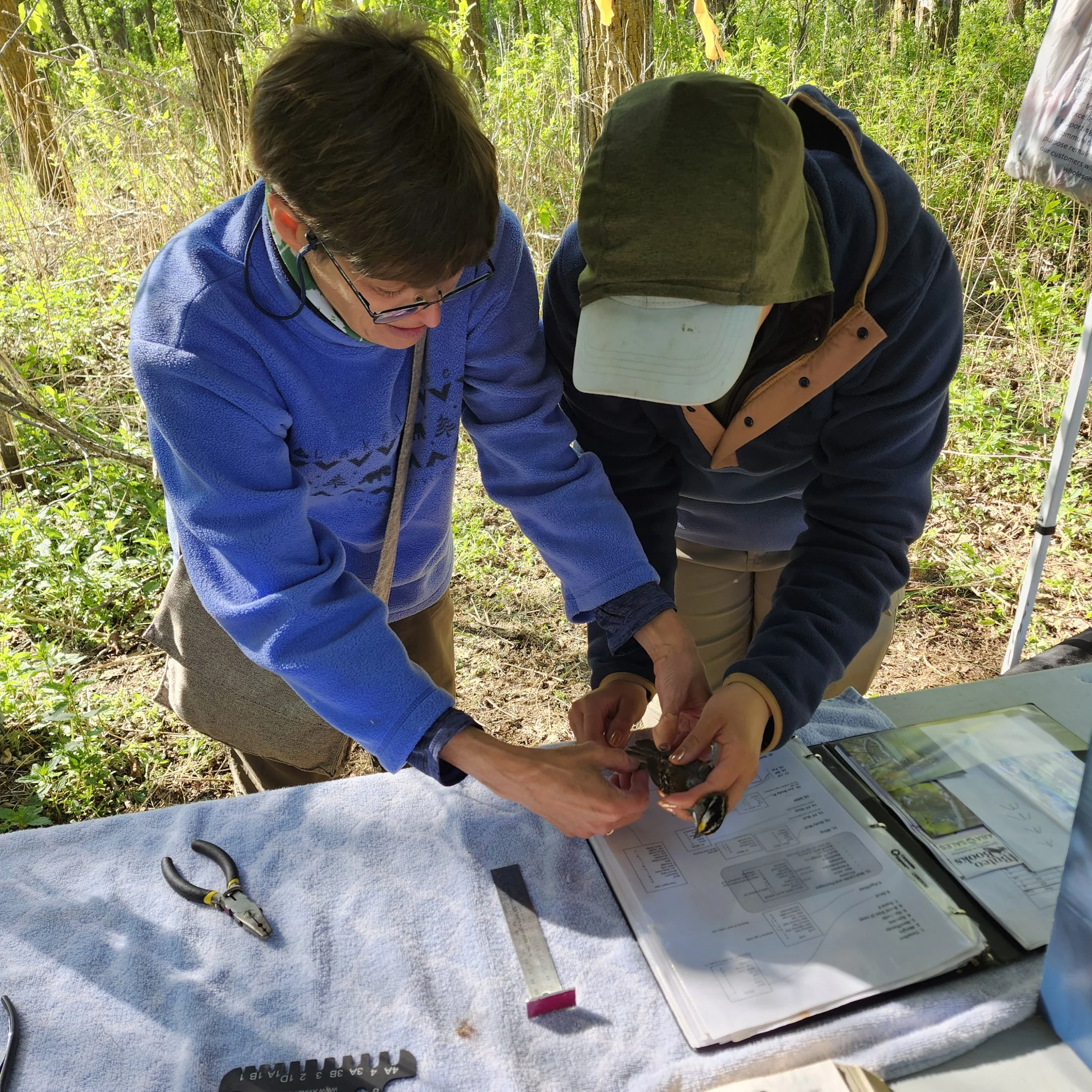 Banding-Training2.8_BGW_EALT_2025-05-24.jpg