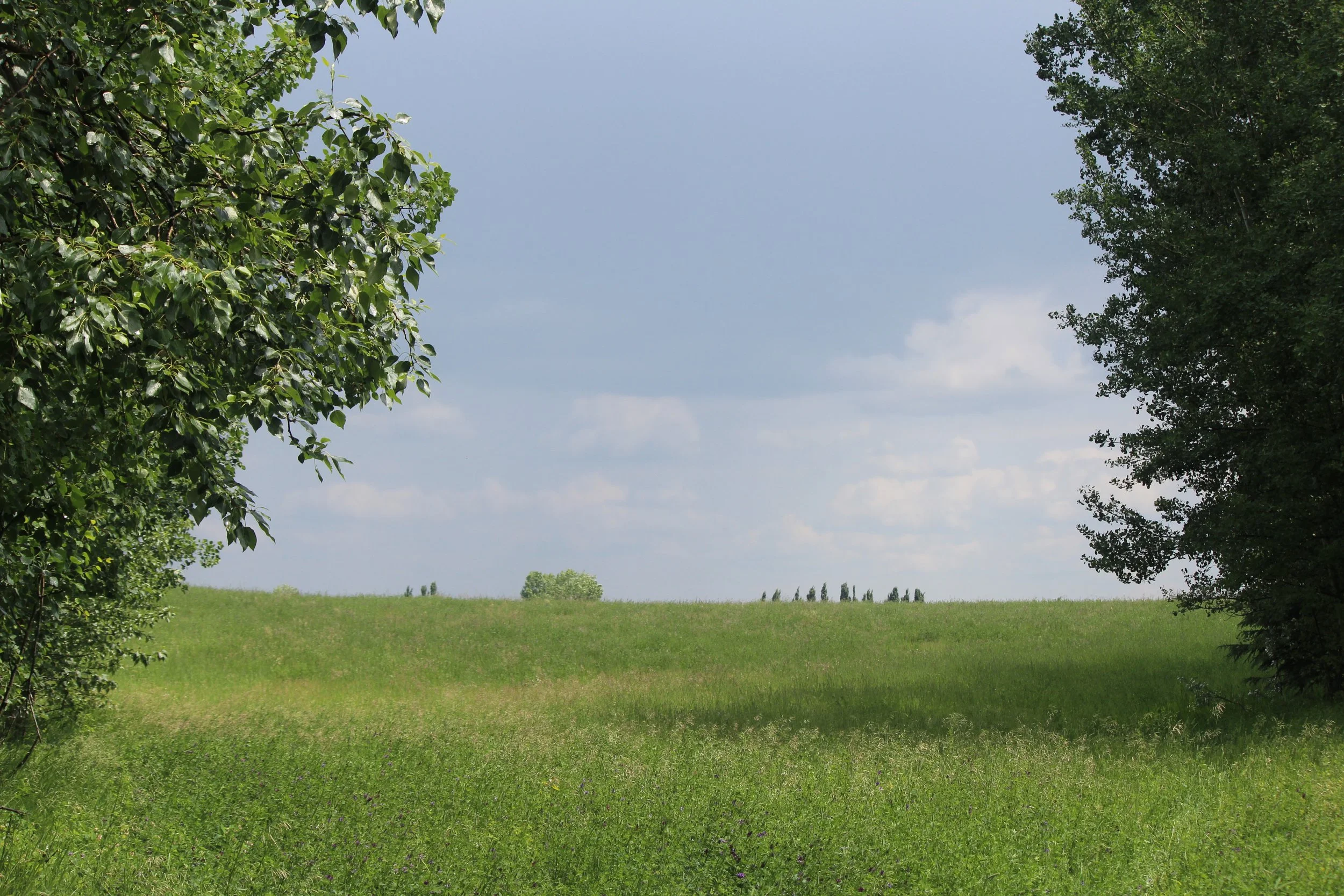 Landscape1.1_Fath_EALT_2025-06-22.JPG