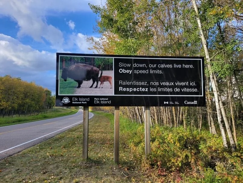 bison-sign-elk-island-national-park.jpg
