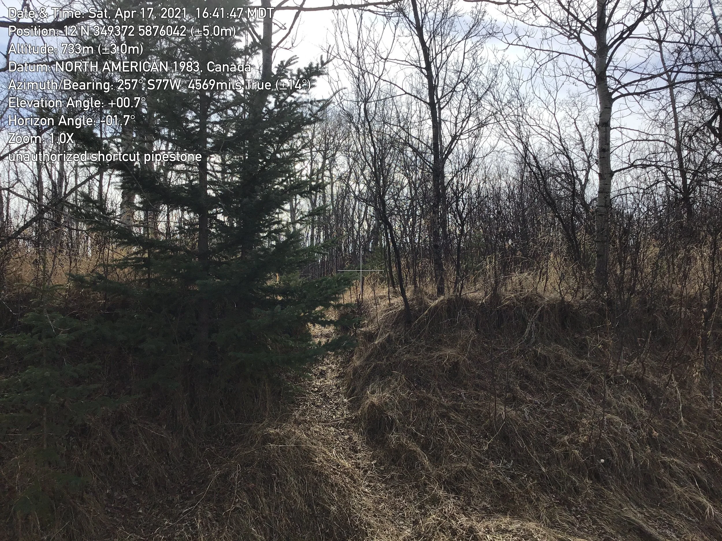 Visitors can create shortcuts between trails, which degrades native habitat.