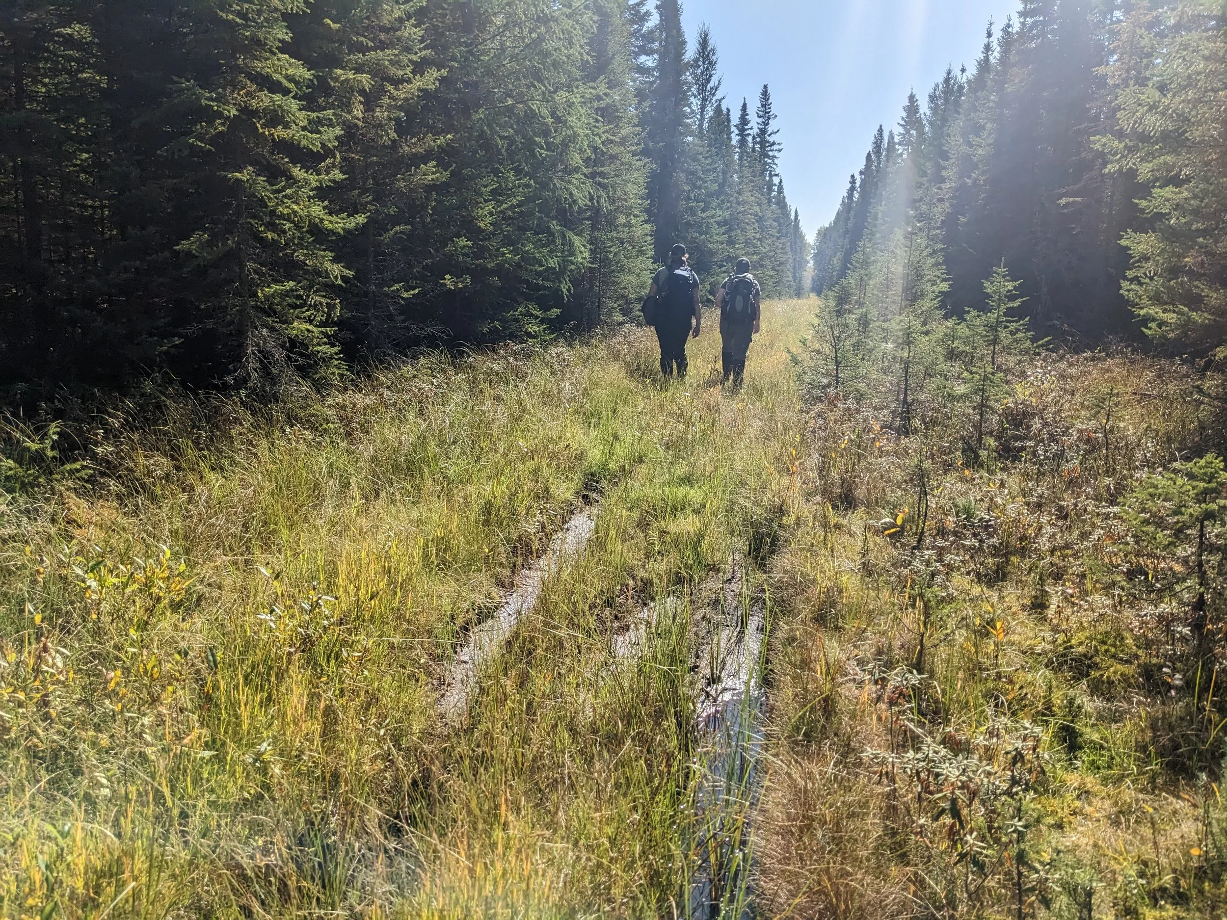EALT has had incidents of OHV trespassing across our lands - leaving tracks behind which damage vegetation.