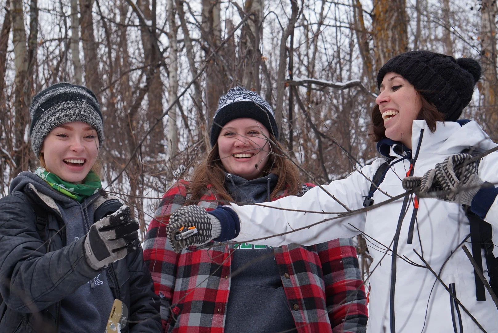 Black Knot Removal Event_Hicks_EALT_2020-01-24 (8).JPG