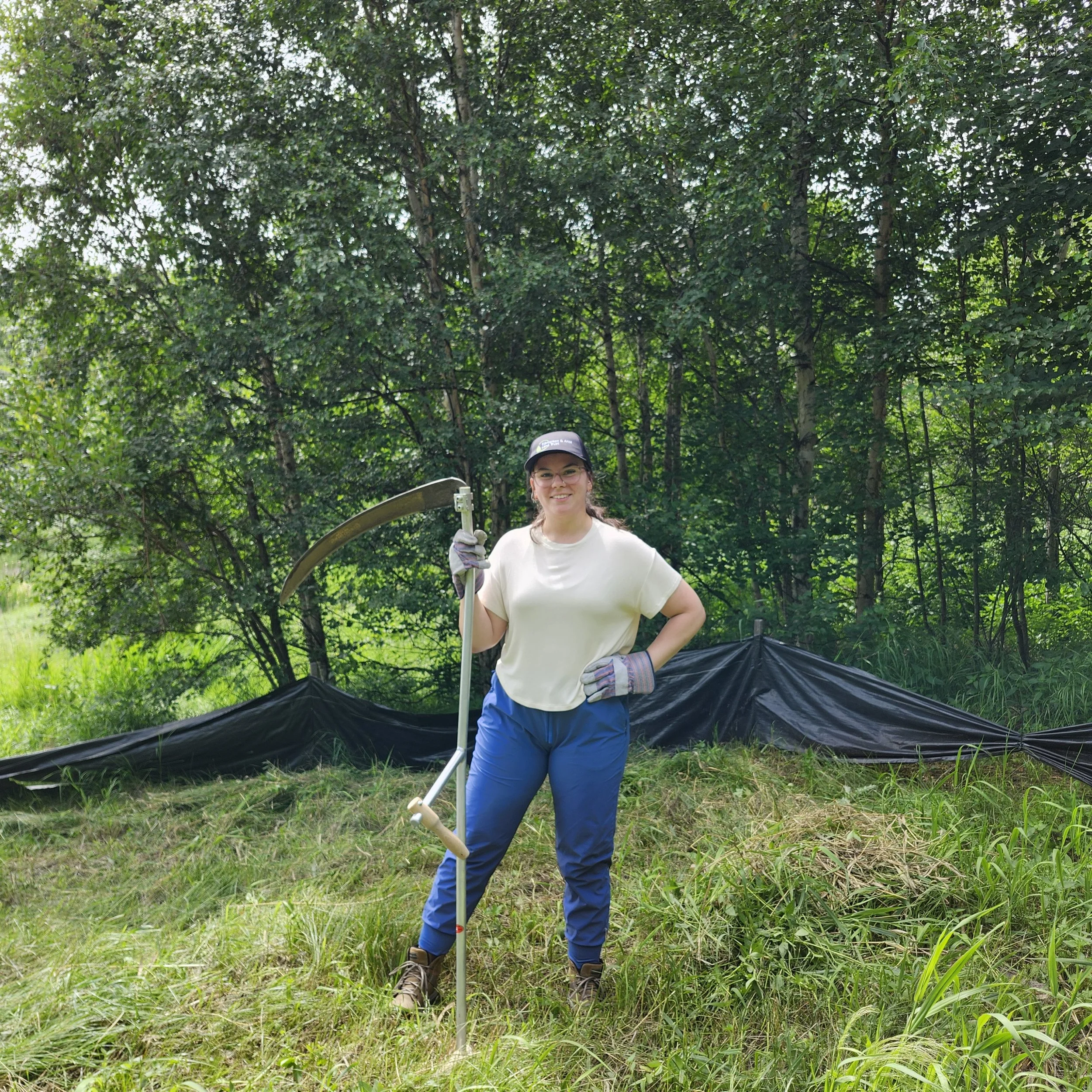 Student Work Experience