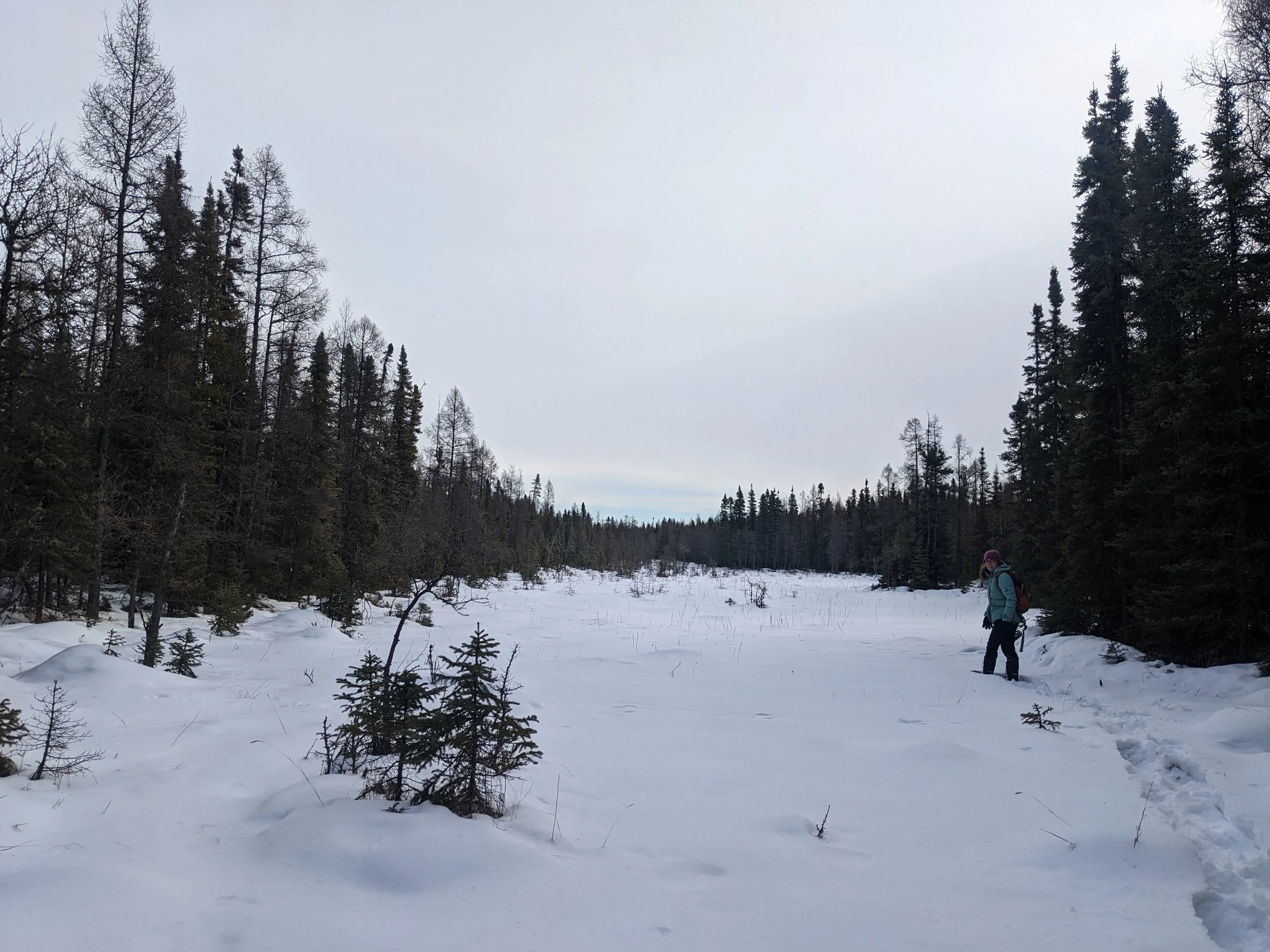 Westlock News - Sundew Feature