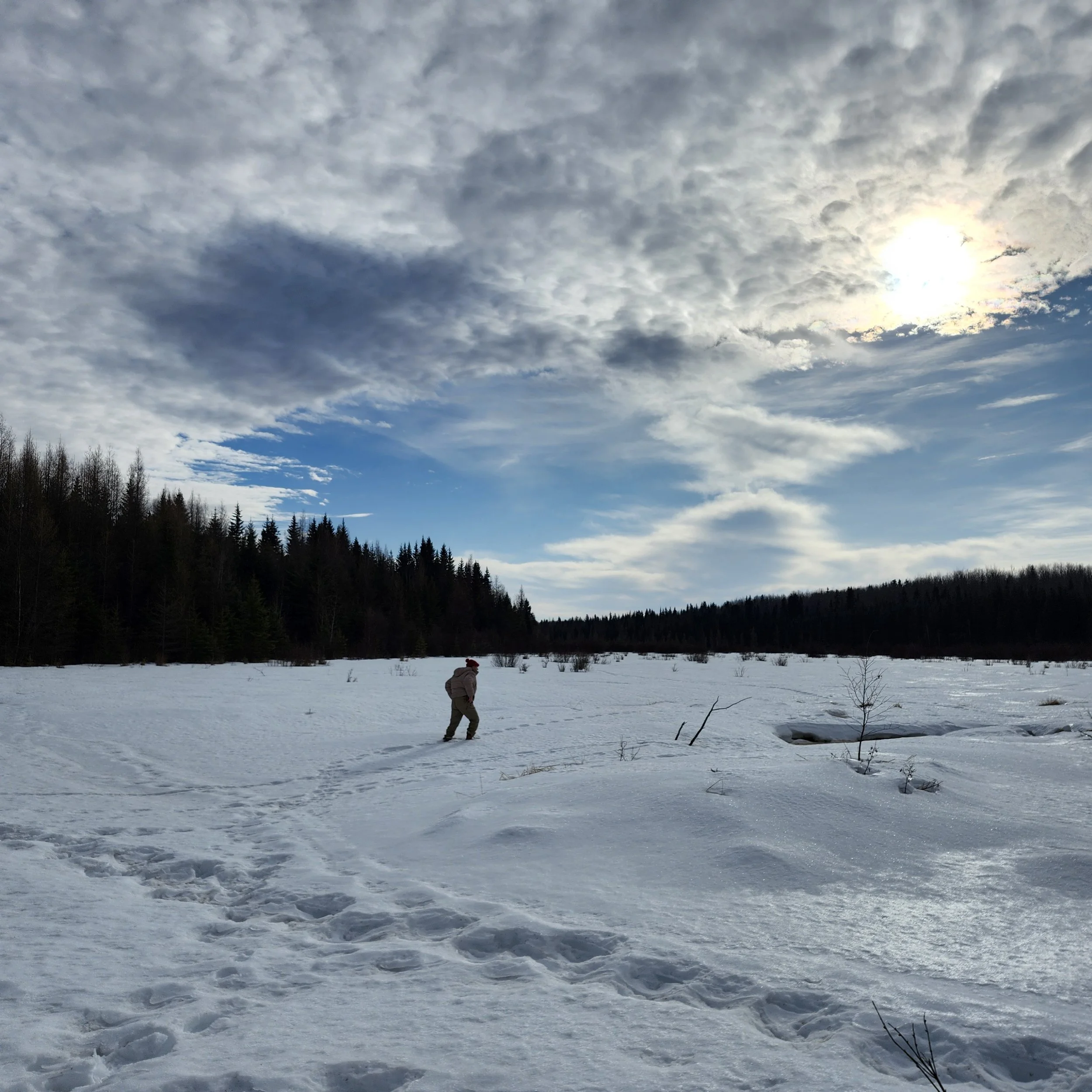 lu on the frozen creek_CW_EALT_2026.jpg