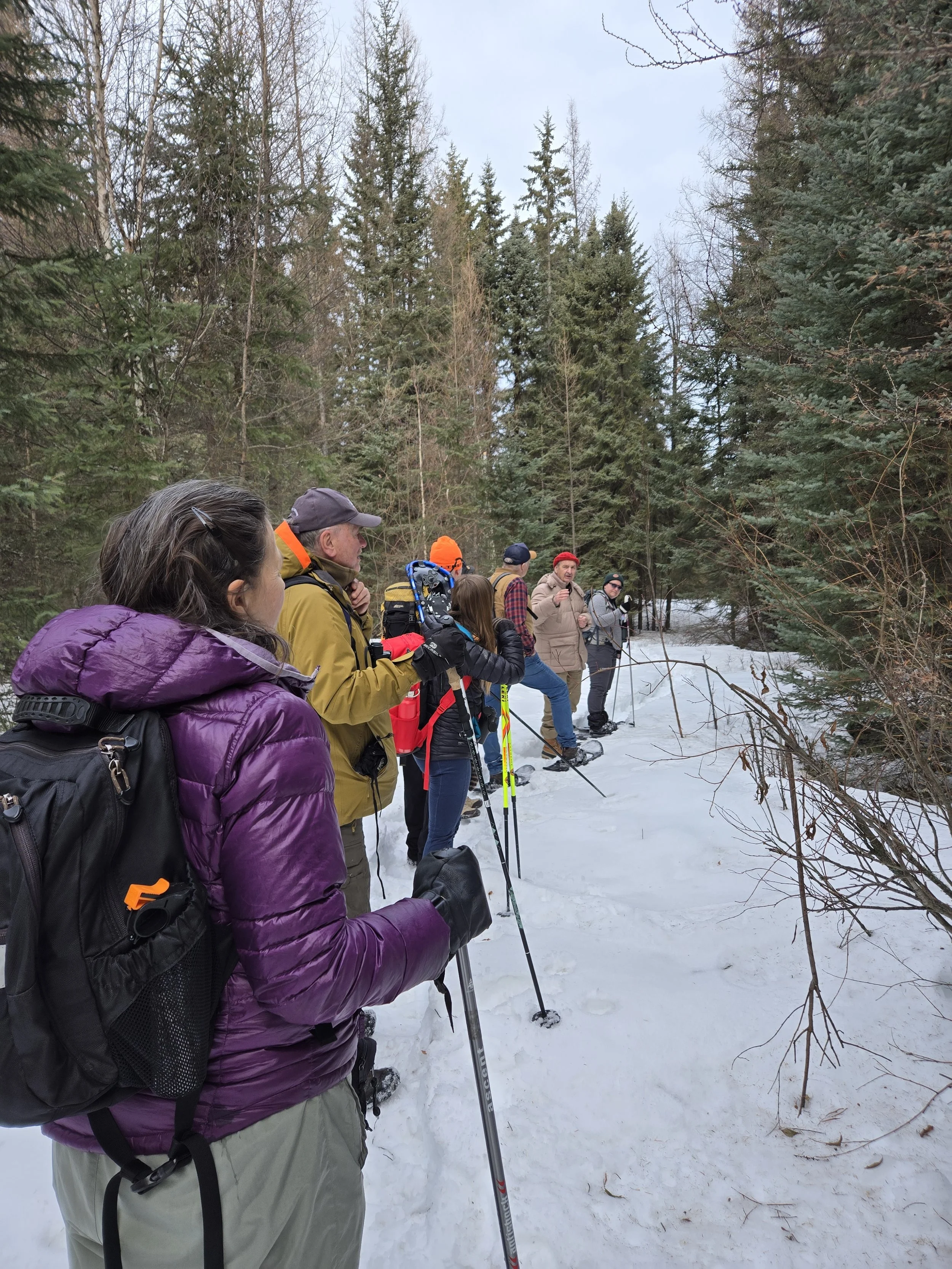 Lu Pishing for birds_CW_EALT_2026-02-07.jpg