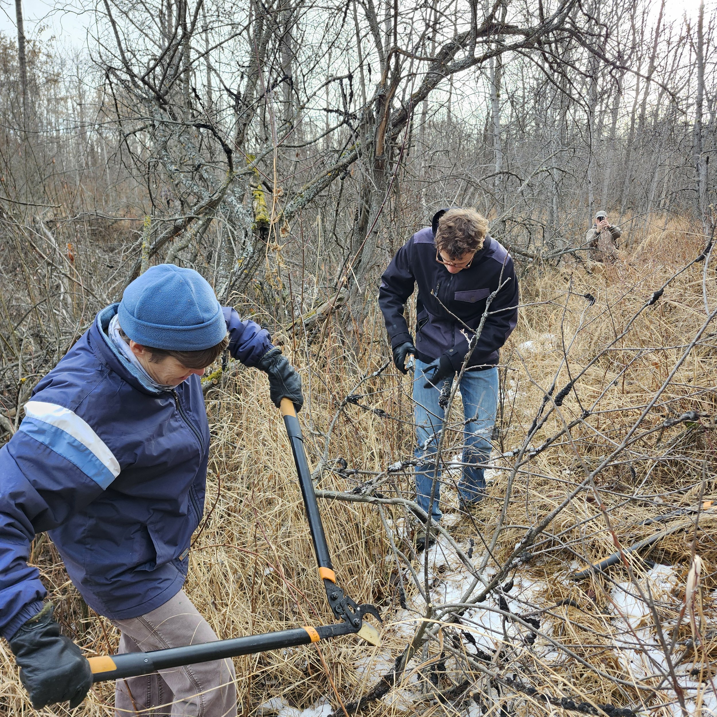 Black knot volunteers_GH_EALT_2025-11-22 (7).jpg