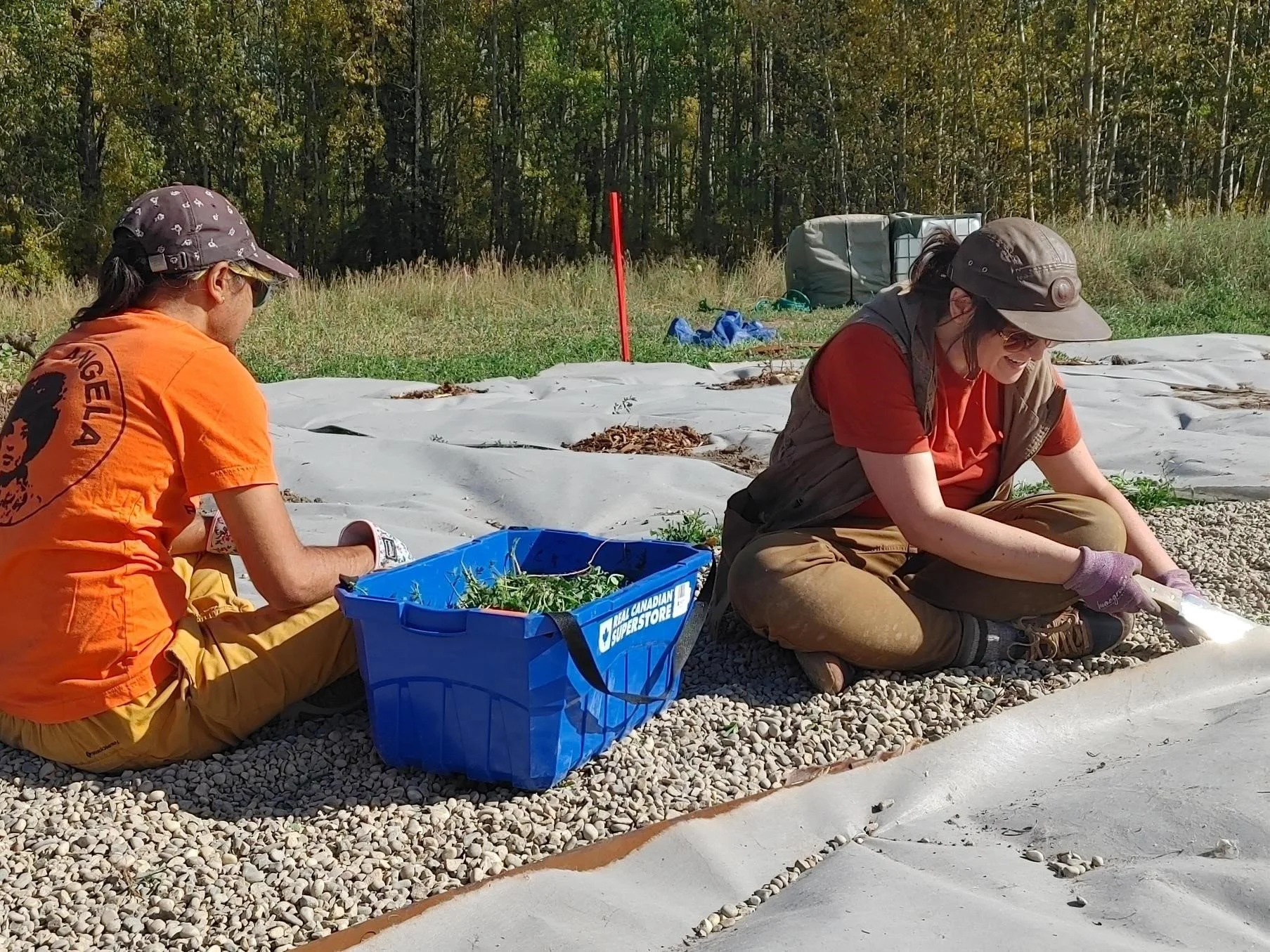Medicine garden planting_Fath_EALT_2025-09-26(4).jpg
