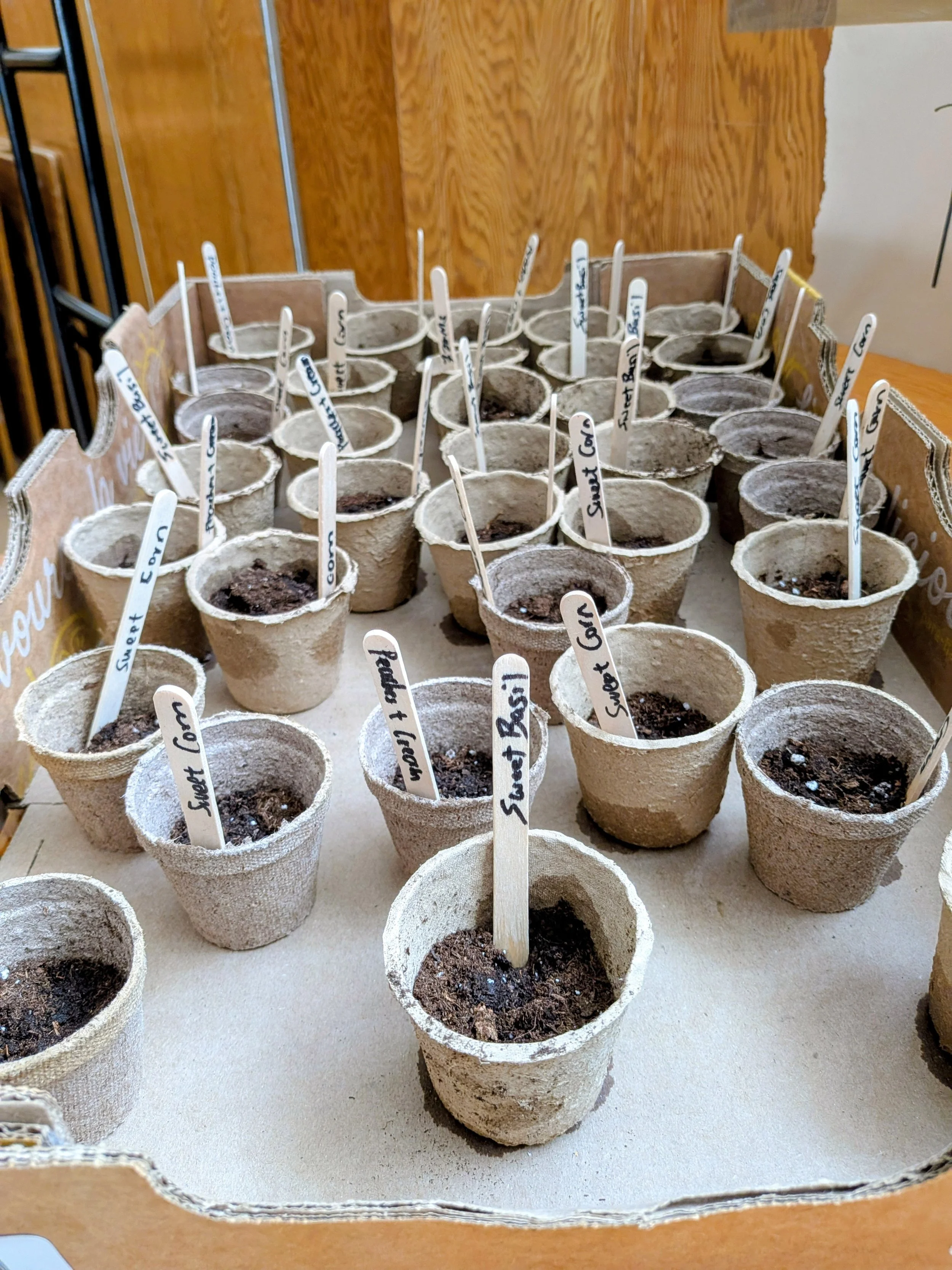 Seeds as Stewardship Photos (5).jpg