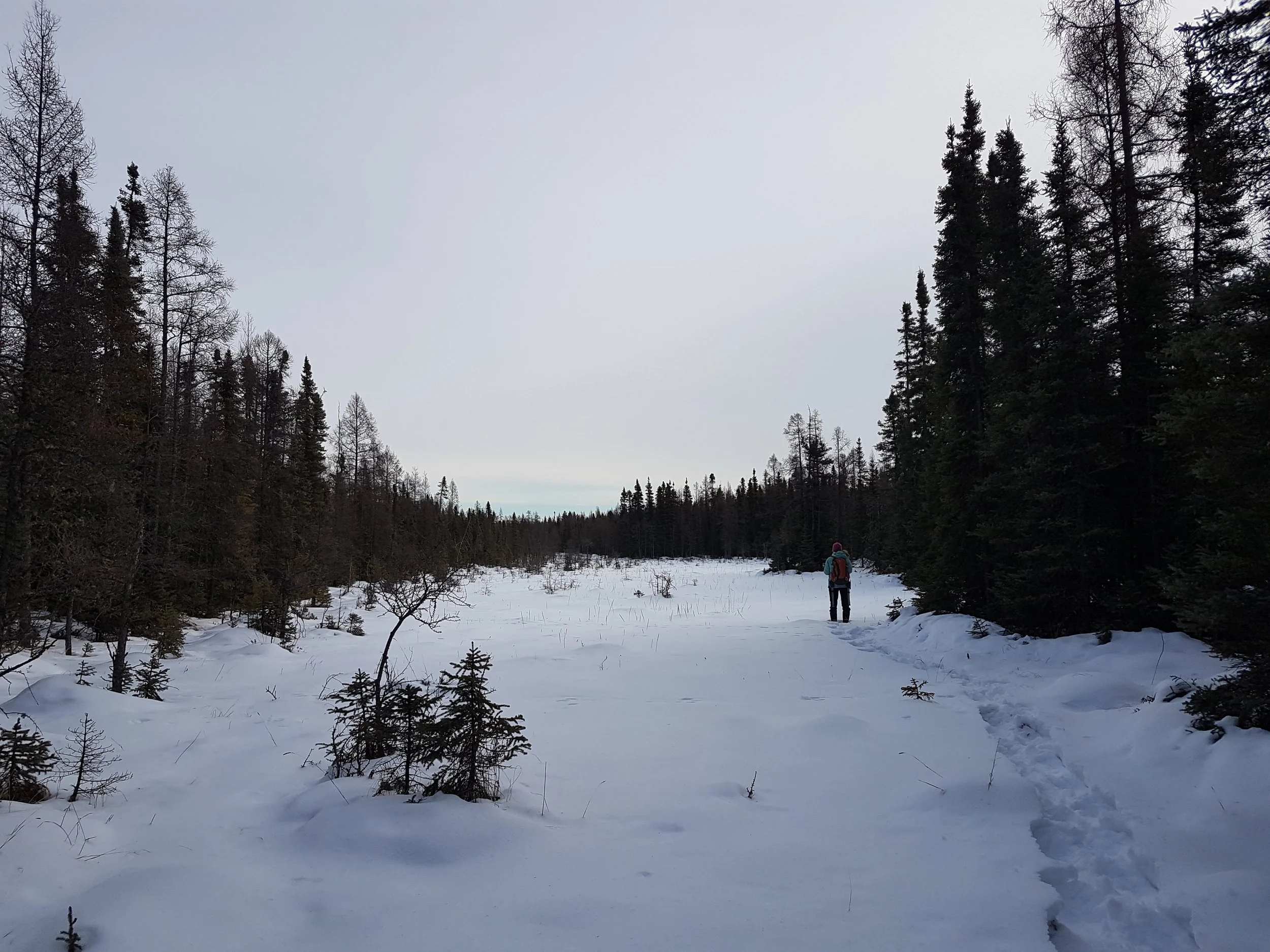 Westlock News - Sundew Feature