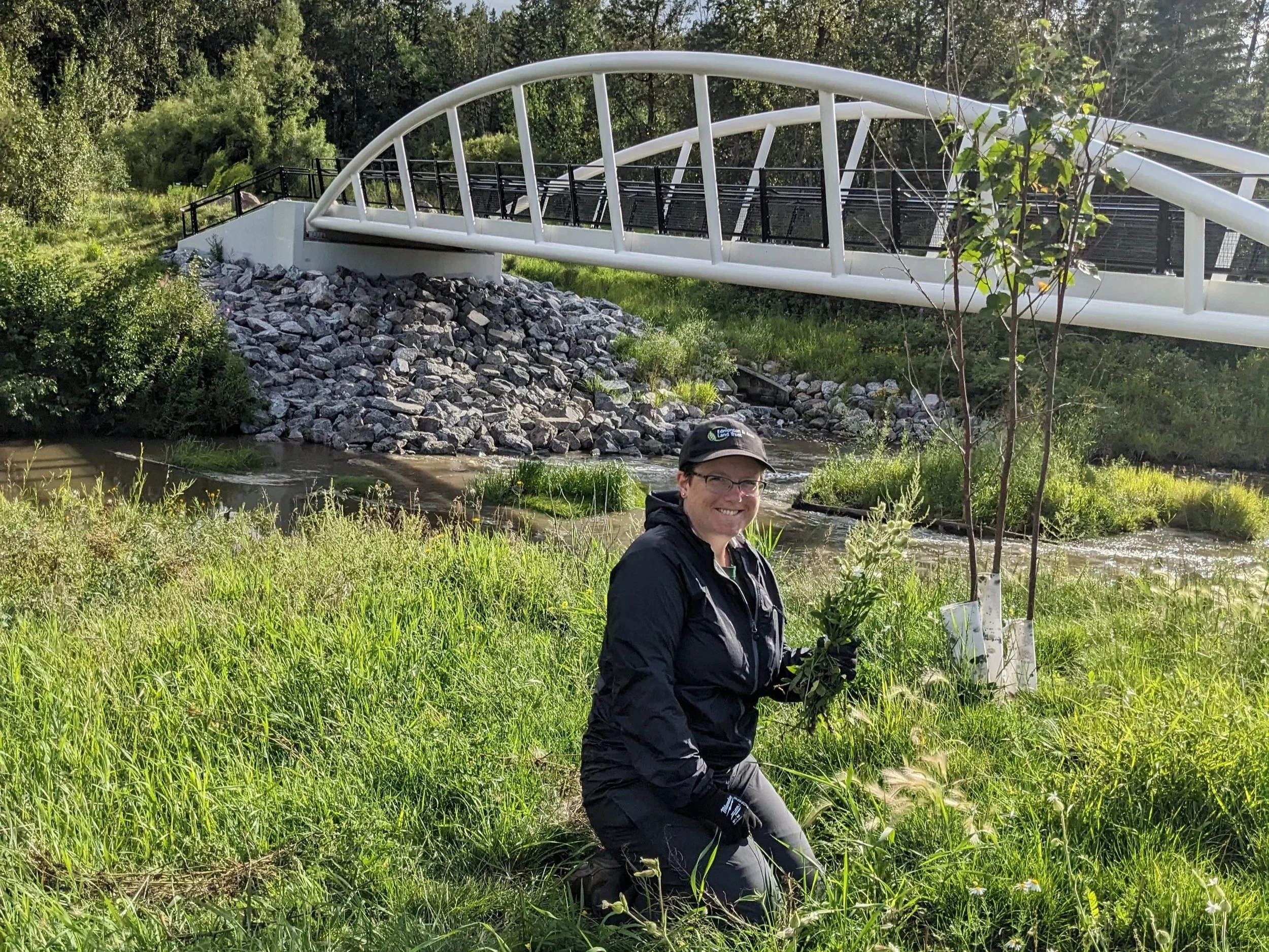 CBC Interview - Weed Pull at Larch Sanctuary