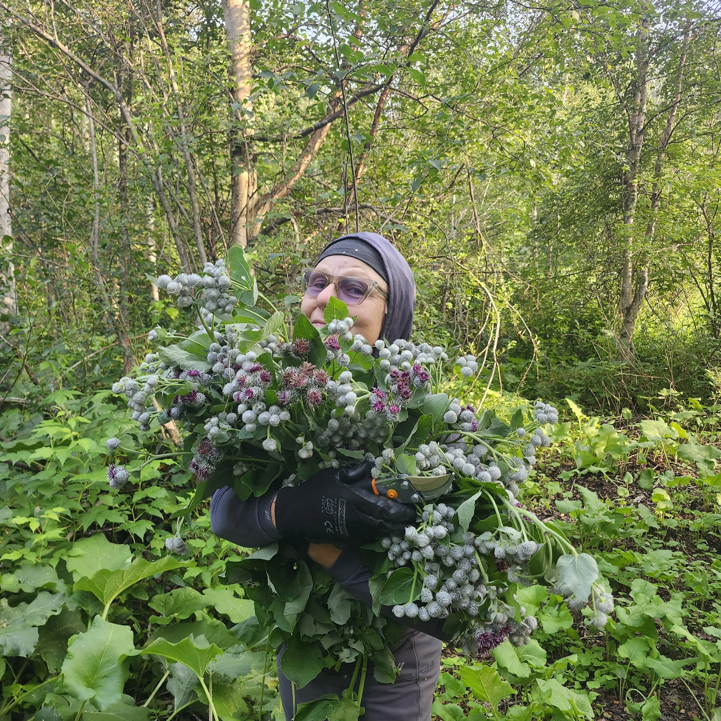 burdock bouquet_GH_EALT_2026-07-30.jpg