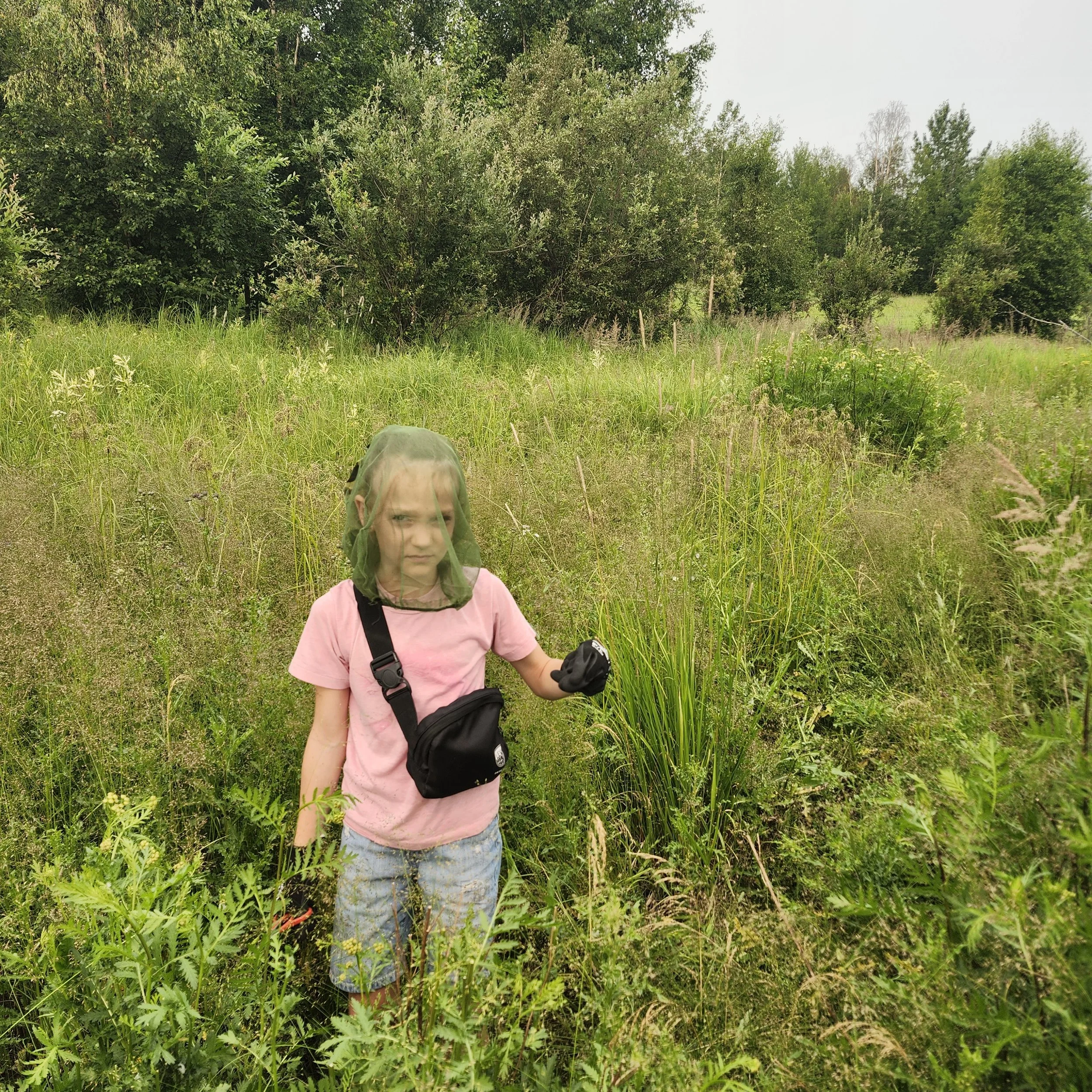 weeding_SO_EALT_2026-07-25.jpg