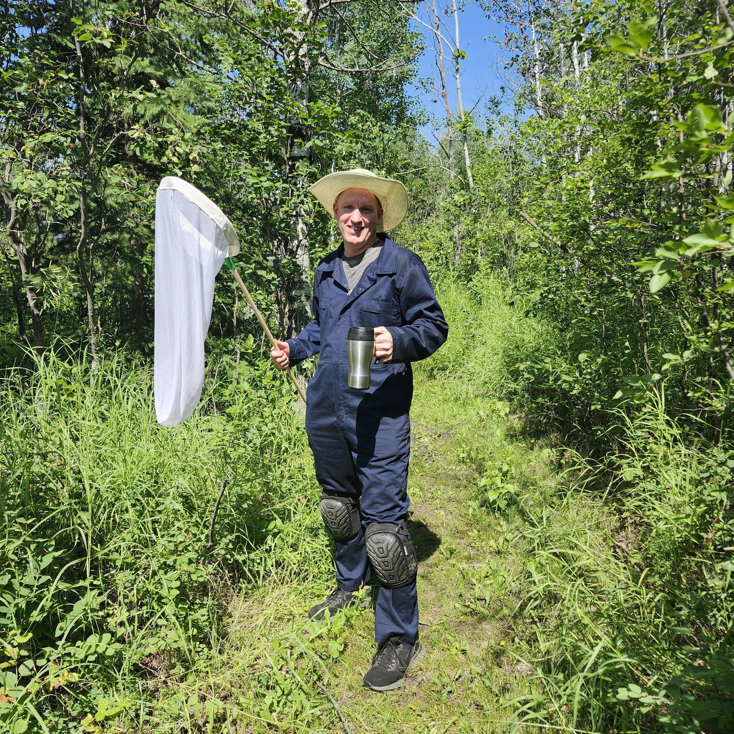 Catching insects