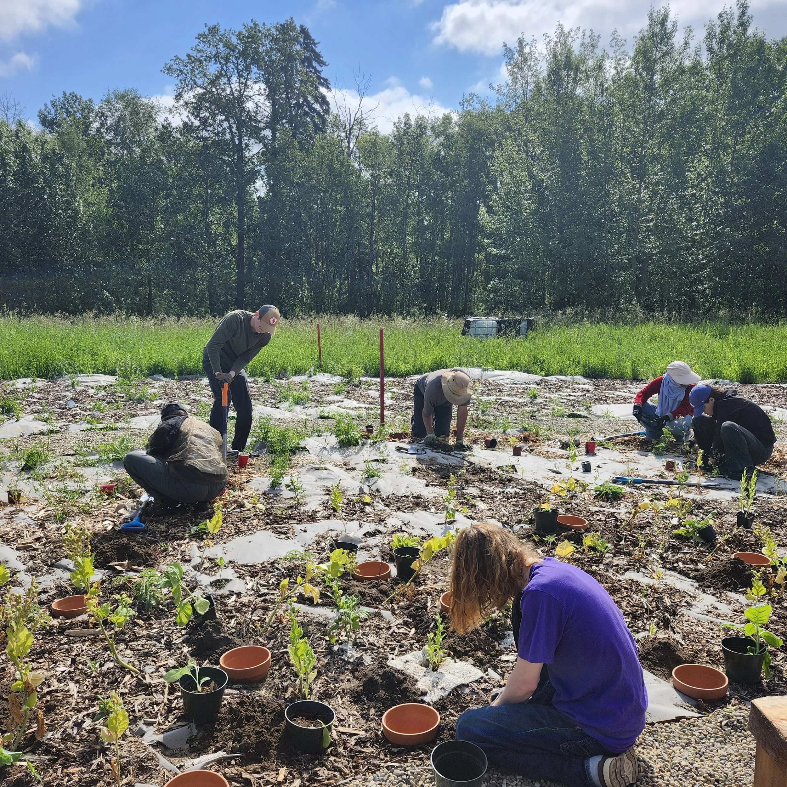 Medicine garden planting event_NS_EALT_2026-07-15 (2).jpg