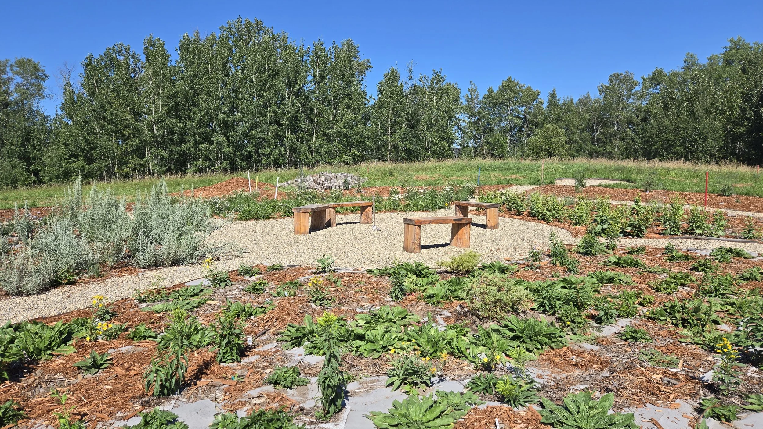 Medicine Garden complete late summer_NS_EALT_2026-08-25 (1).jpg